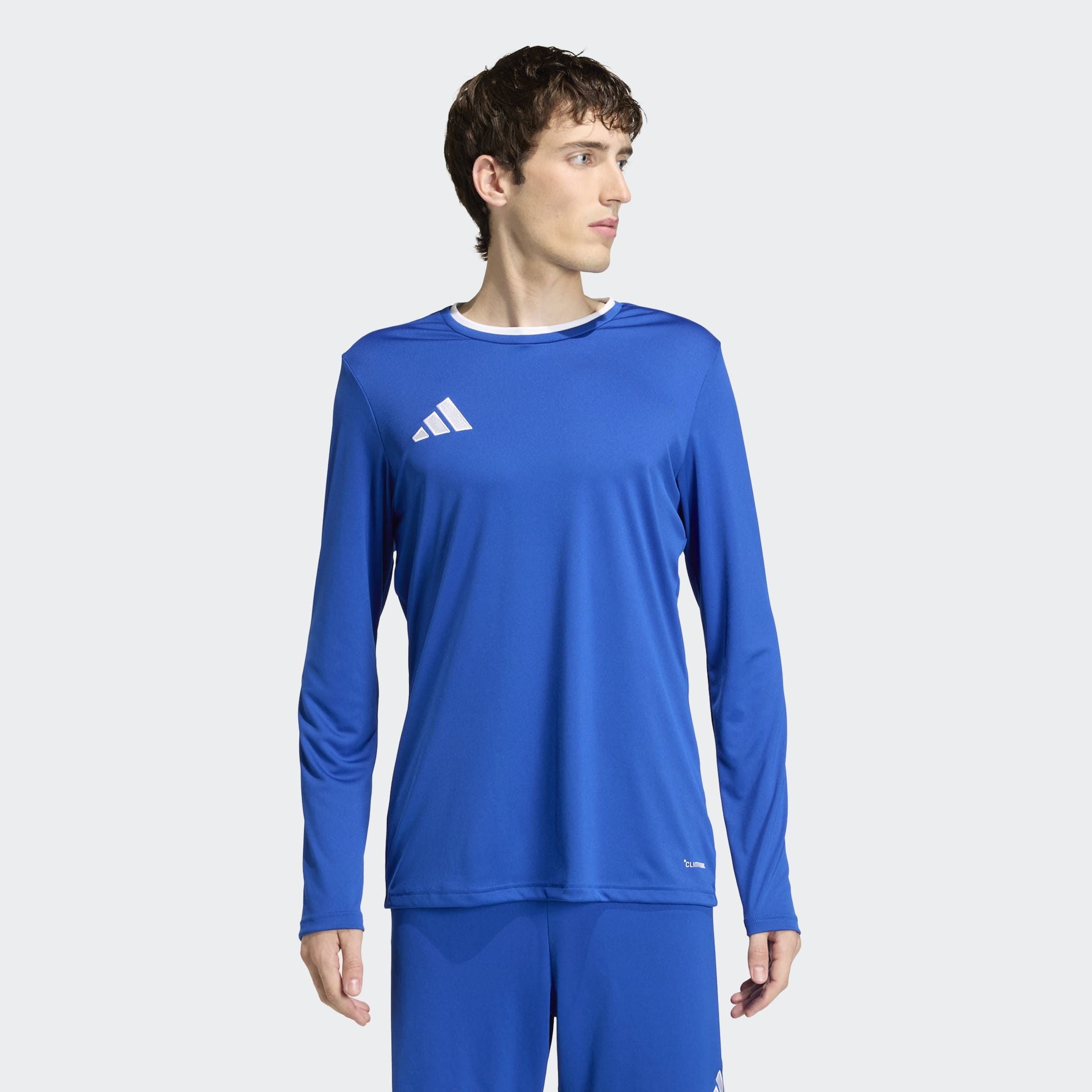 adidas Performance Fußballtrikot »ENT26 JSY LS«