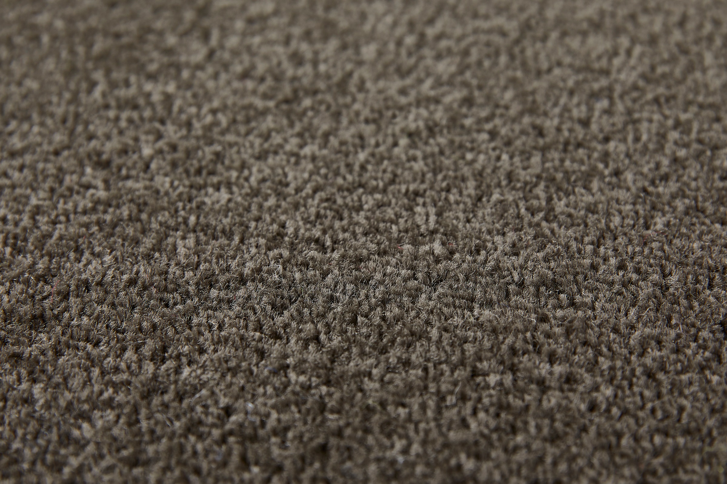 my home Teppichboden »Isabella, Velours, Made in Netherlands«, rechteckig, 8,5 mm Höhe, Breite 400 cm, Uni Farben, weich, pflegeleicht, strapazierfähig