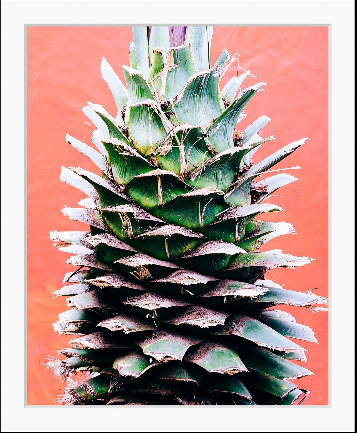 queence Bild »Lassi«, Obst-Obst Bilder-Lebensmittel-Essen-Kunst-Figuren, (1 St.), HD Premium Poster-Druck inkl. Holzrahmen