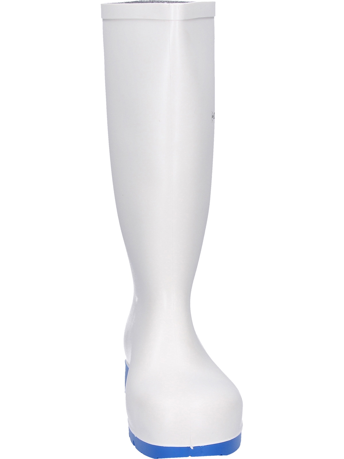 Dunlop Gummistiefel »Acifort Classic+«