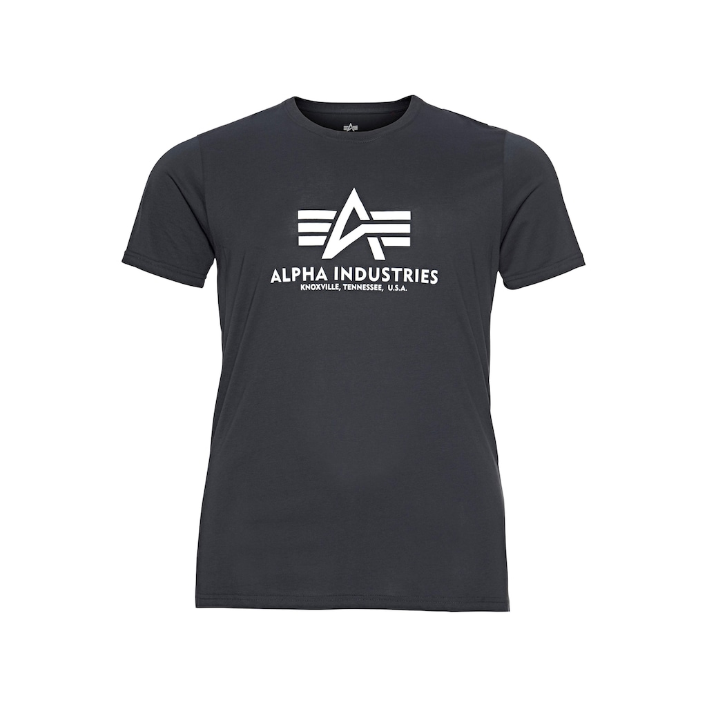 Alpha Industries T-Shirt »Basic T-Shirt«