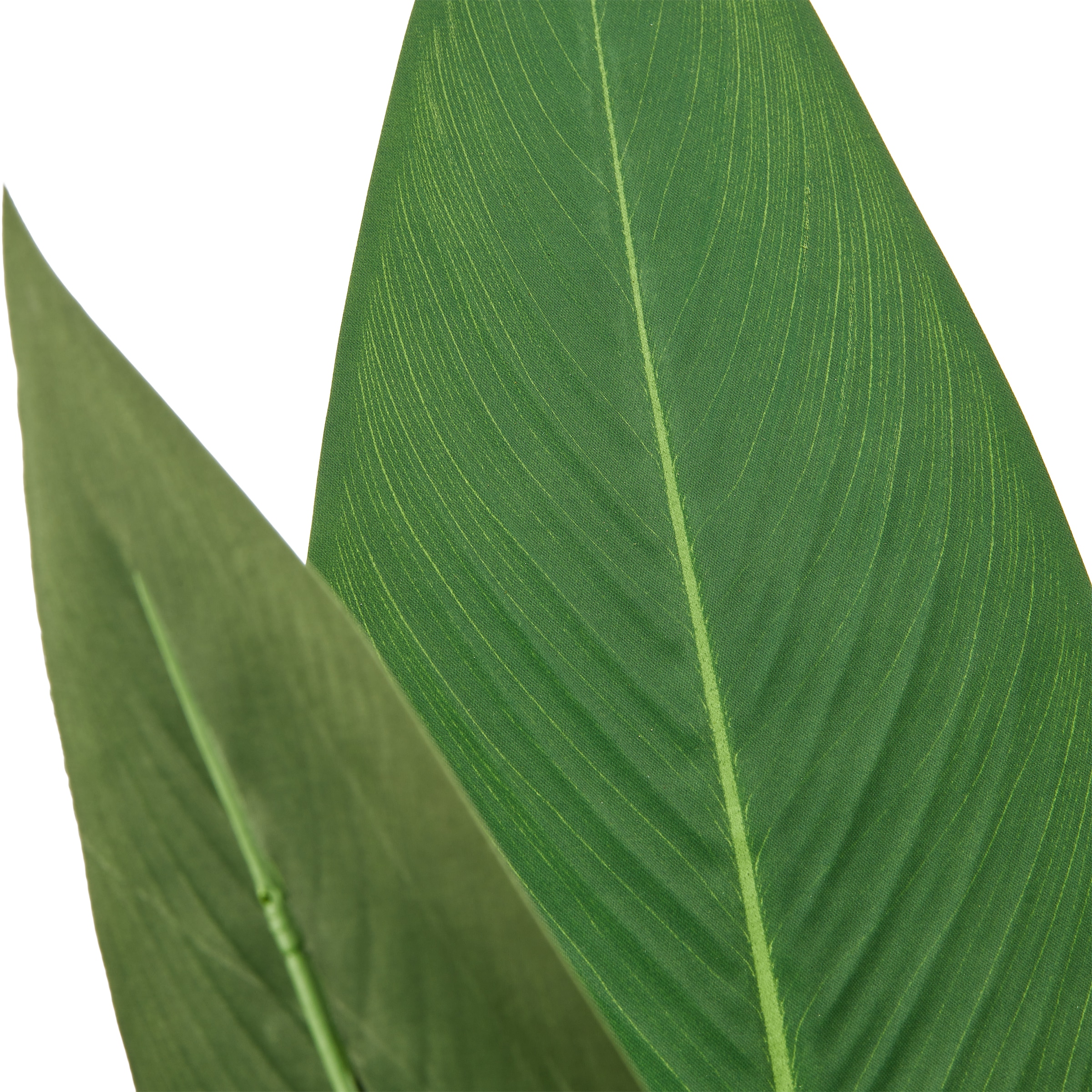 Creativ green Kunstpflanze »Strelitzia reginae« in beeindruckender Größe