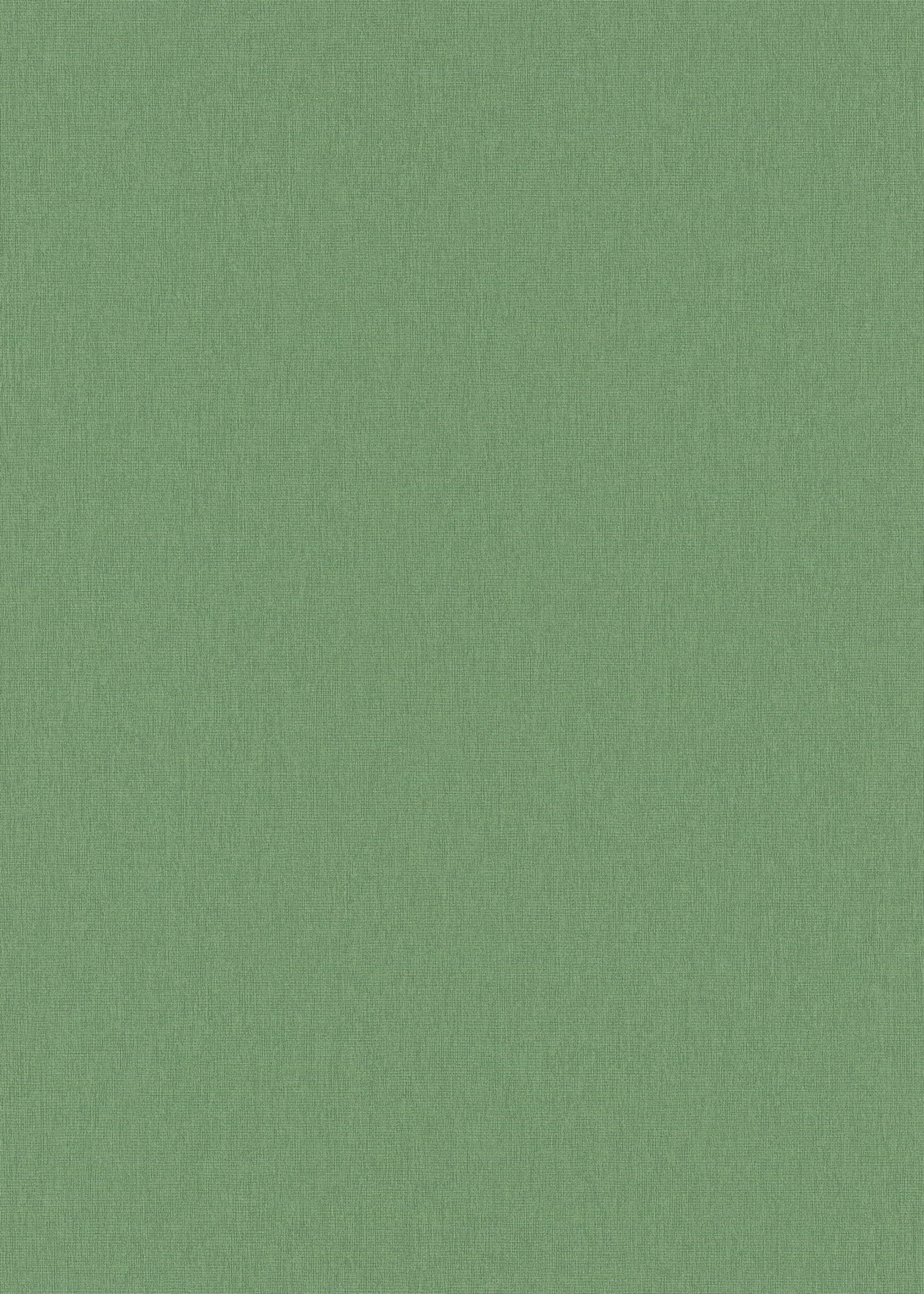 Erismann Vliestapete »Vliestapete Colour Passion«, Phthalate frei