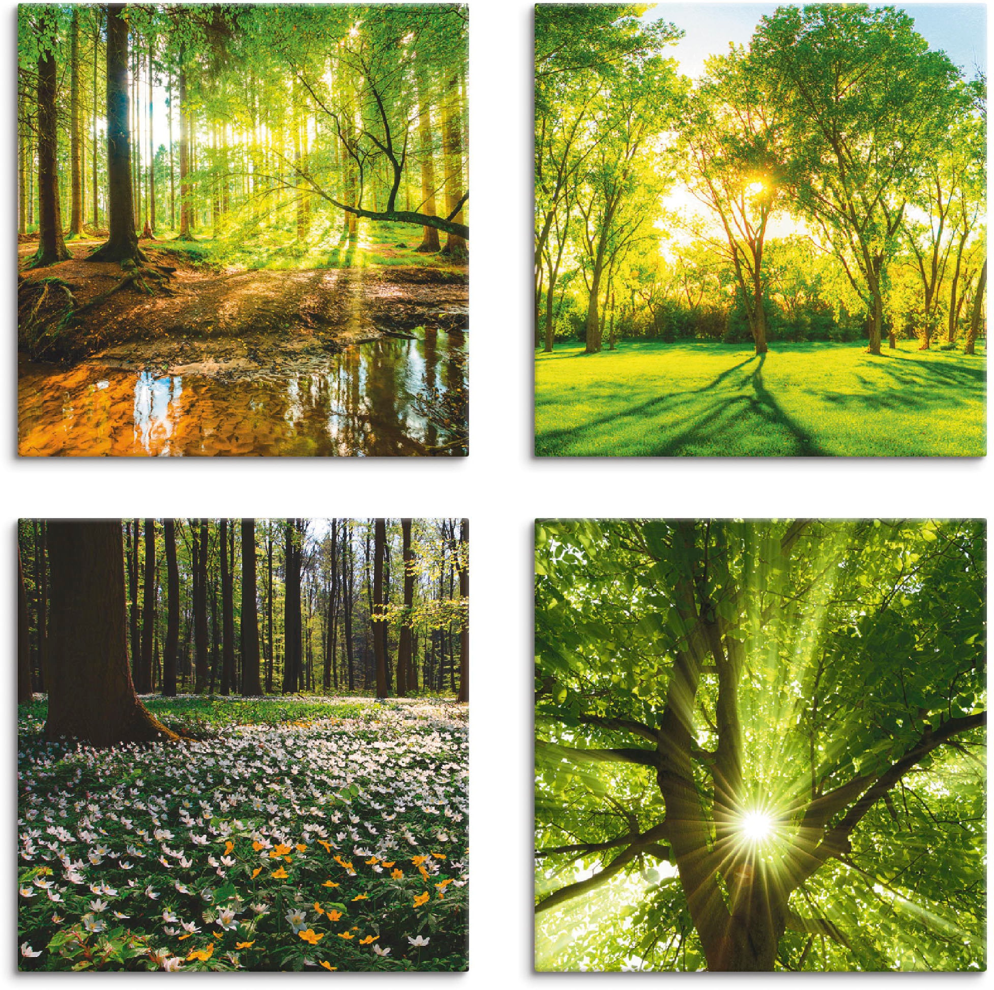Artland Leinwandbild "Wald Bach Frühling Windrosen Sonne Baum" Wald 4 Stk. tlg. 4er Set, verschiedene Größen