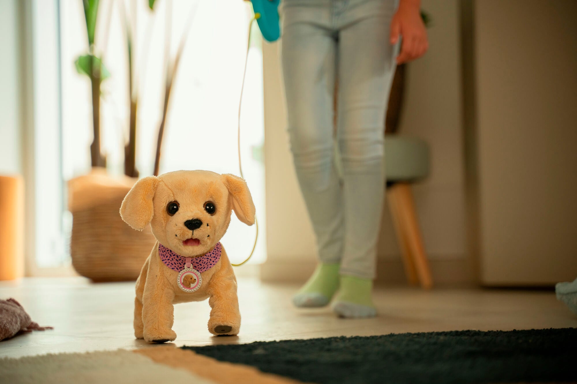 Baby Born Plüschfigur »Mein Hund Lucky mit Box« mit Funktion
