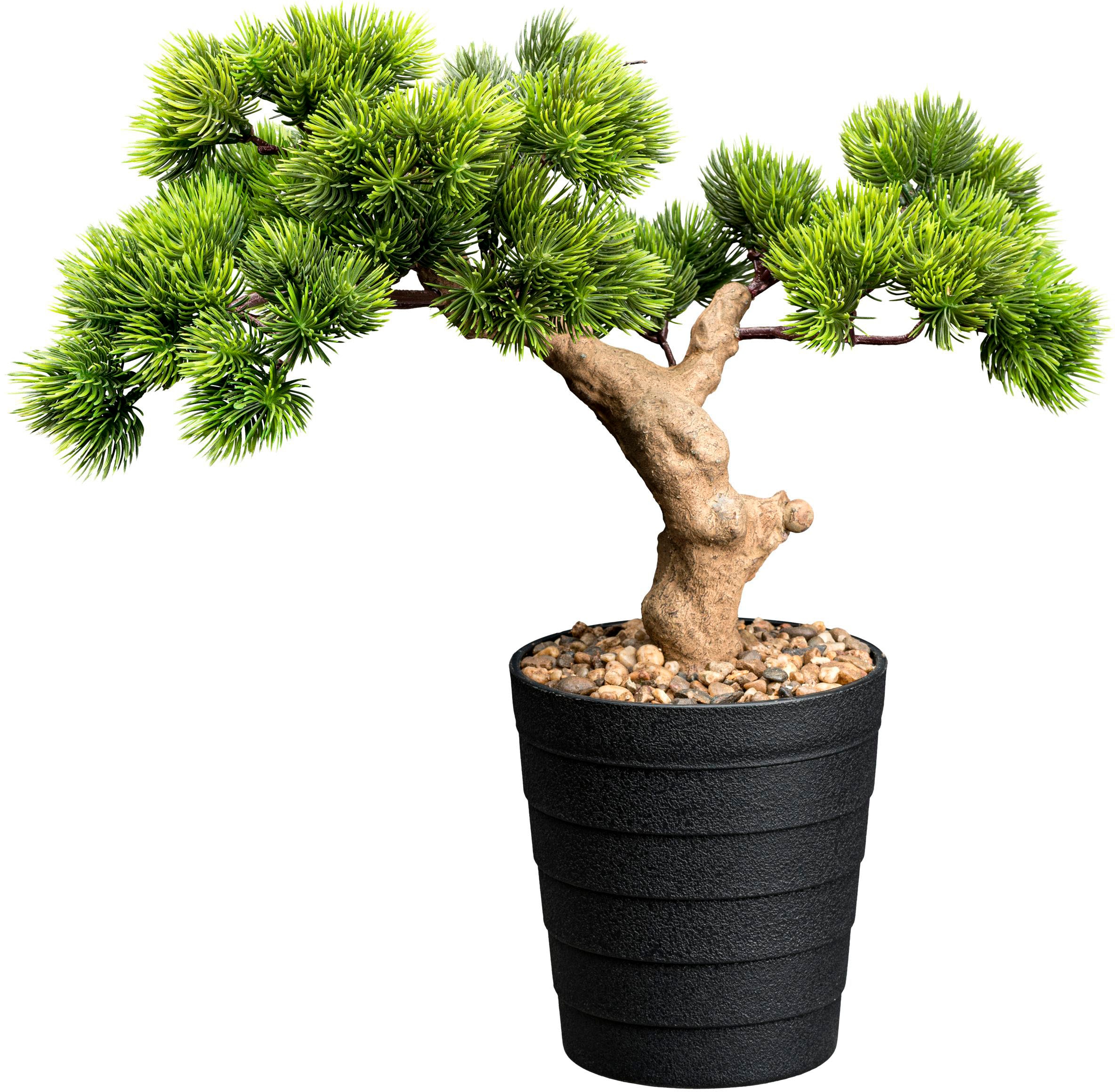 Kunstbonsai »Bonsai Kiefer«, mit Deko-Kies