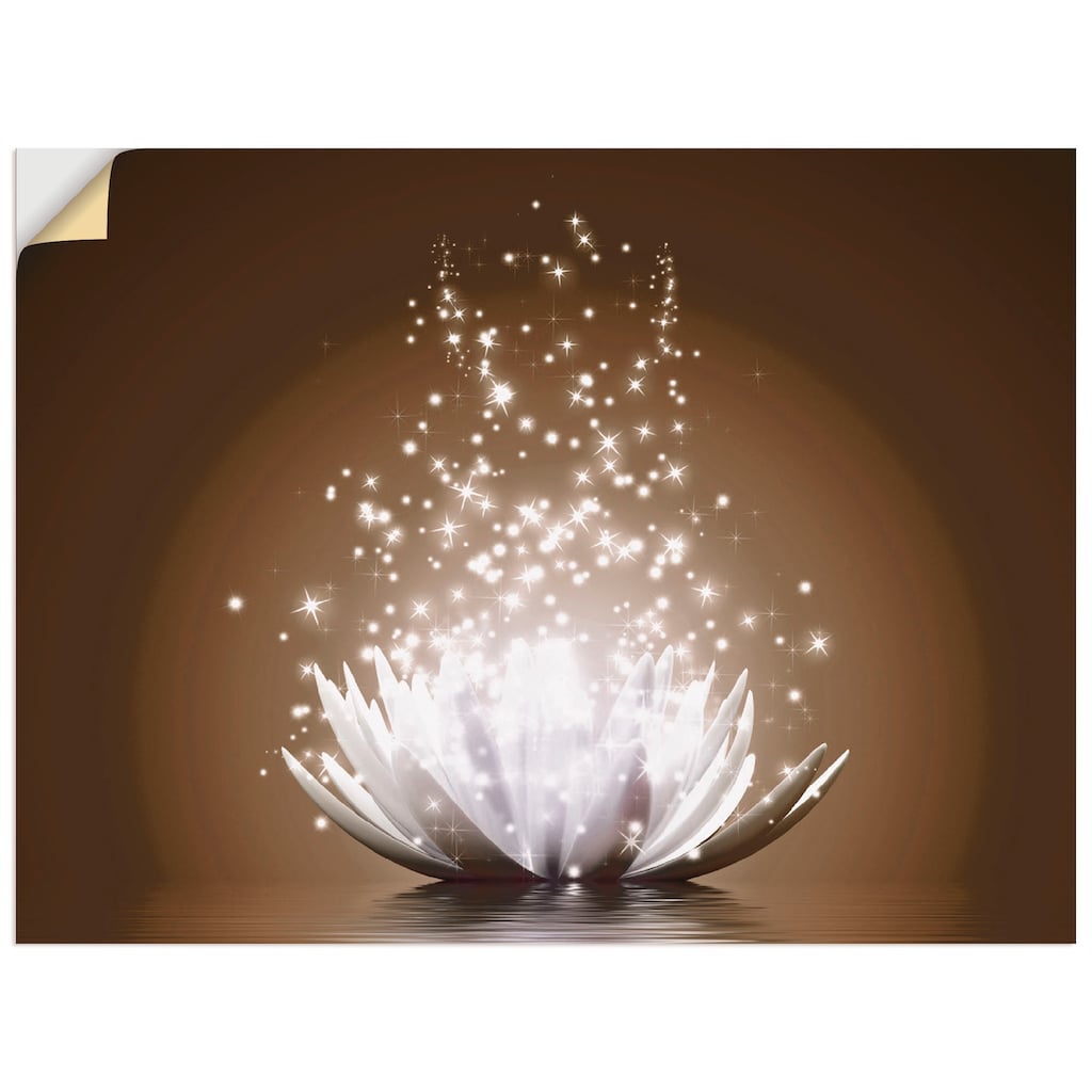 Artland Wandbild »Magie der Lotus-Blume«, Blumen, (1 St.)