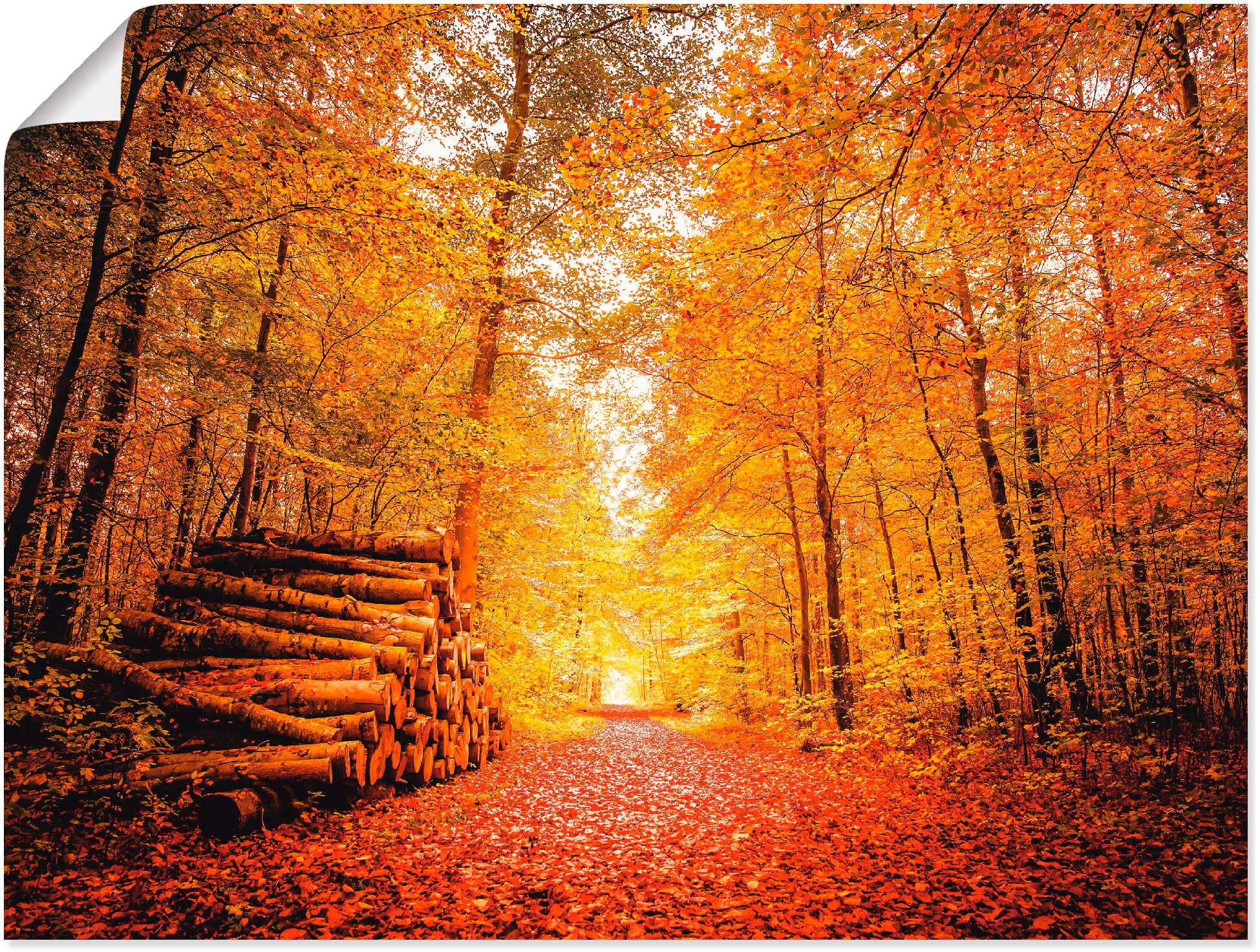 Poster »Herbstlandschaft«, Vier Jahreszeiten, (1 St.), als Alubild, Leinwandbild,...