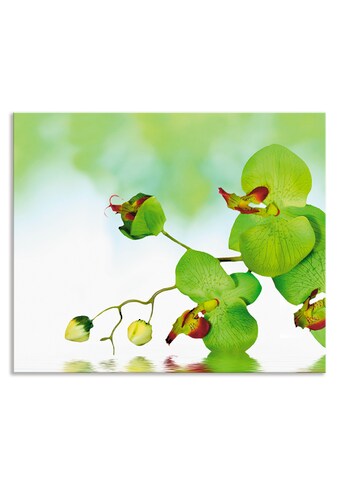 Artland Küchenrückwand »Schöne Orchidee mit grünem Hintergrund«, (1 tlg.),... kaufen
