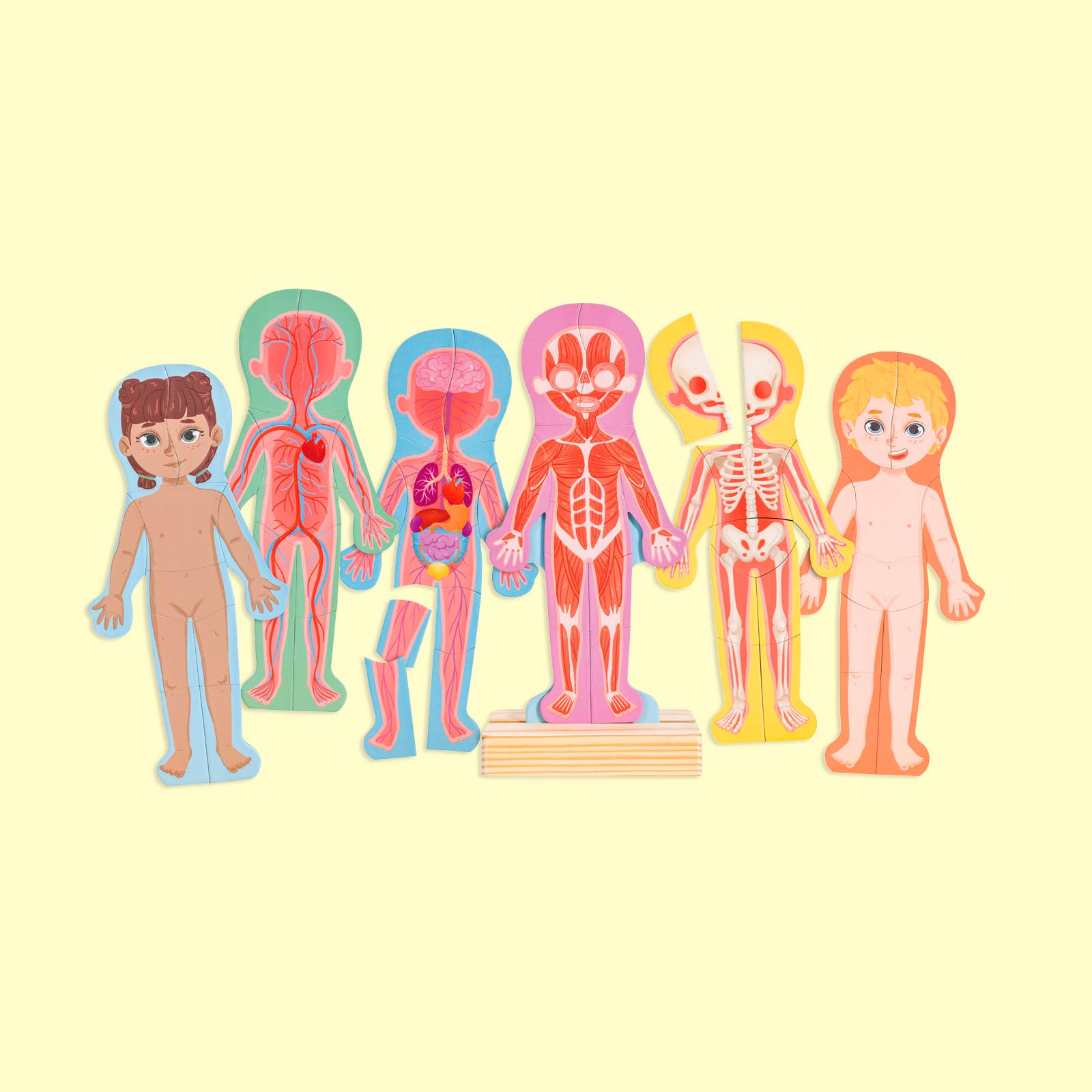 Hape Konturenpuzzle »Menschlicher Körper«