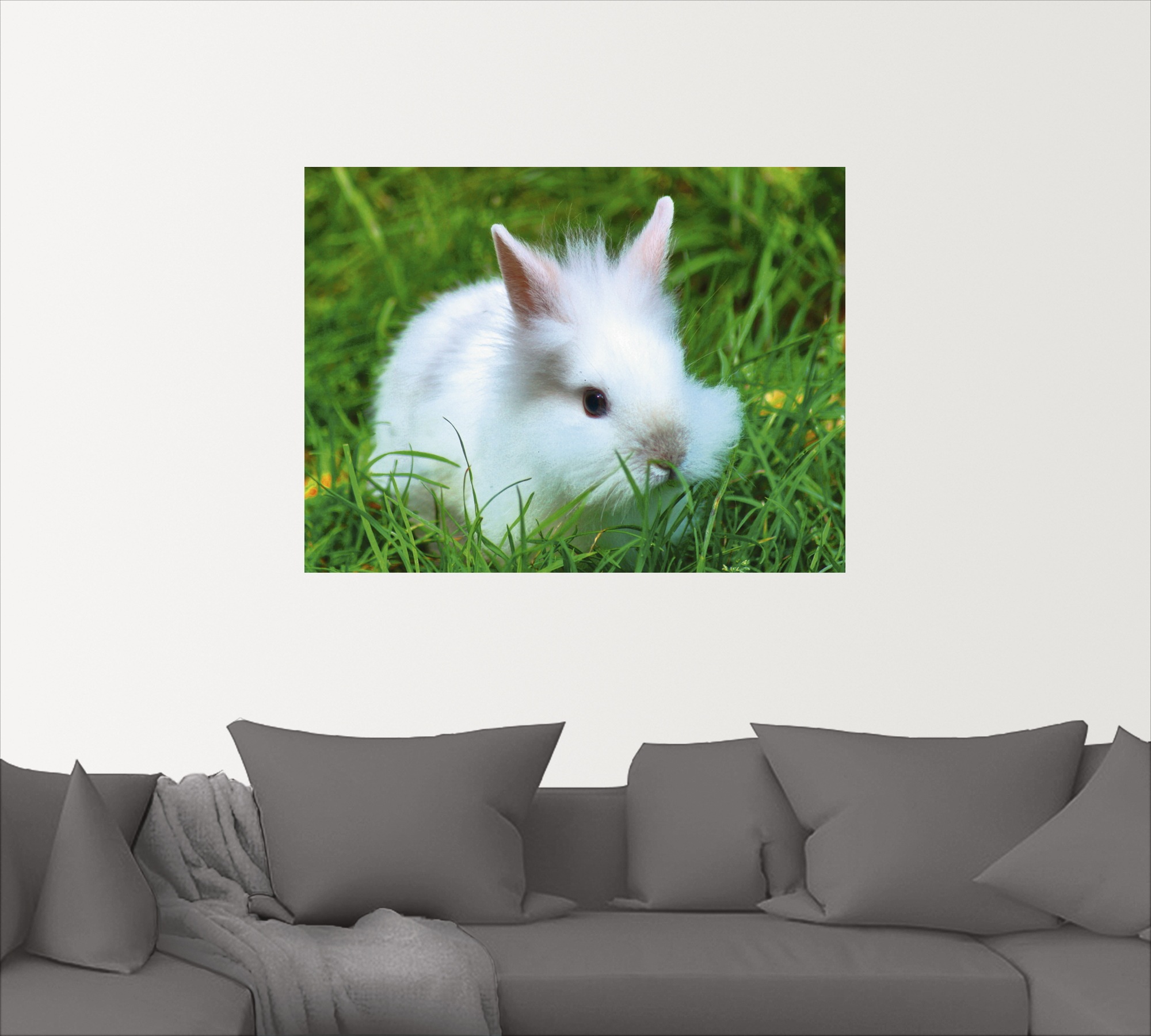 Artland Wandbild »Weißes Zwergkaninchen Baby«, Wildtiere, (1 St.), als Poster, Wandaufkleber in verschied. Größen