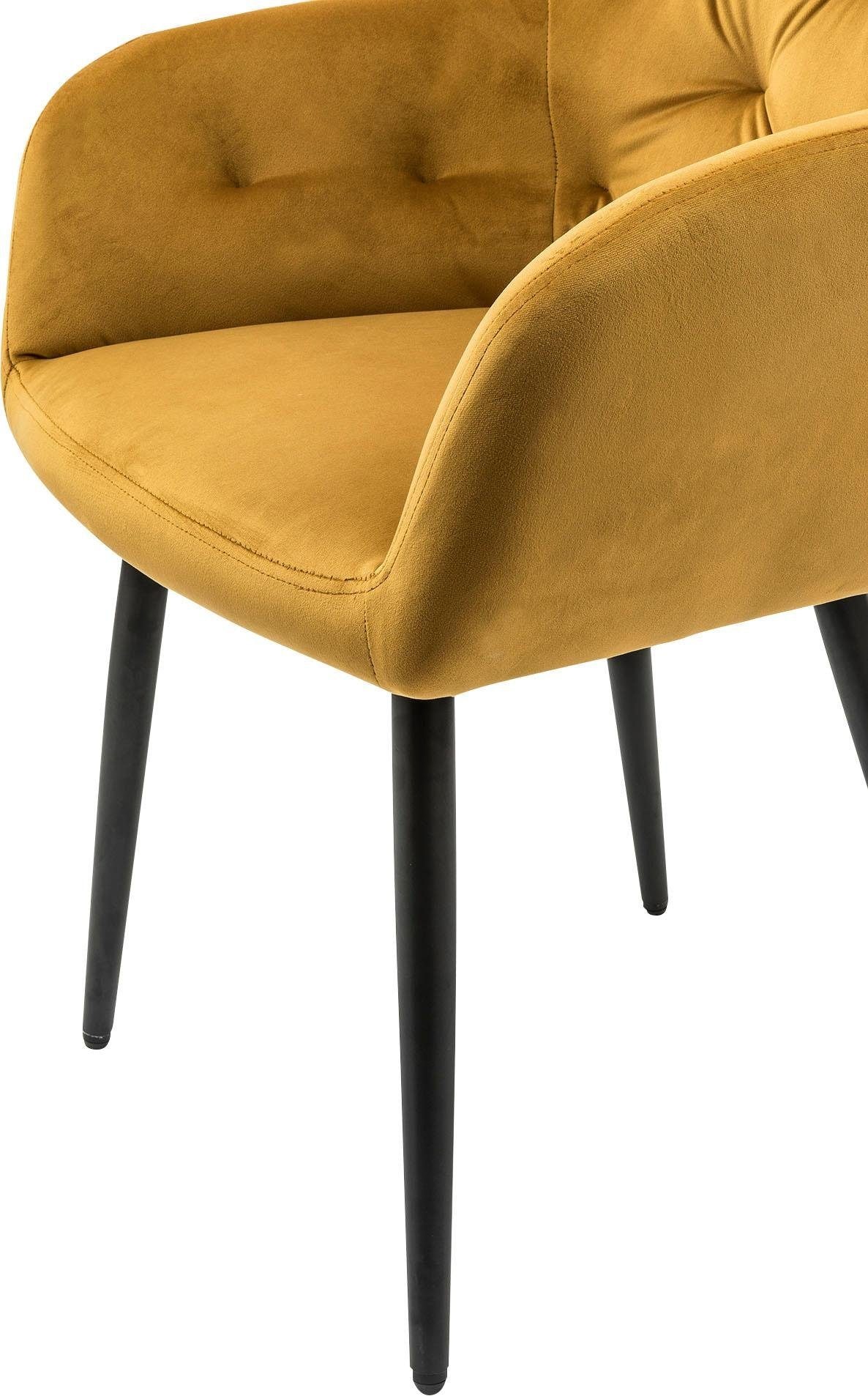 SalesFever Esszimmerstuhl »Coventry Komfortabler Polstertuhl im eleganten Stil«, Samtvelours, Stilvoll mit eleganter Knopfheftung
