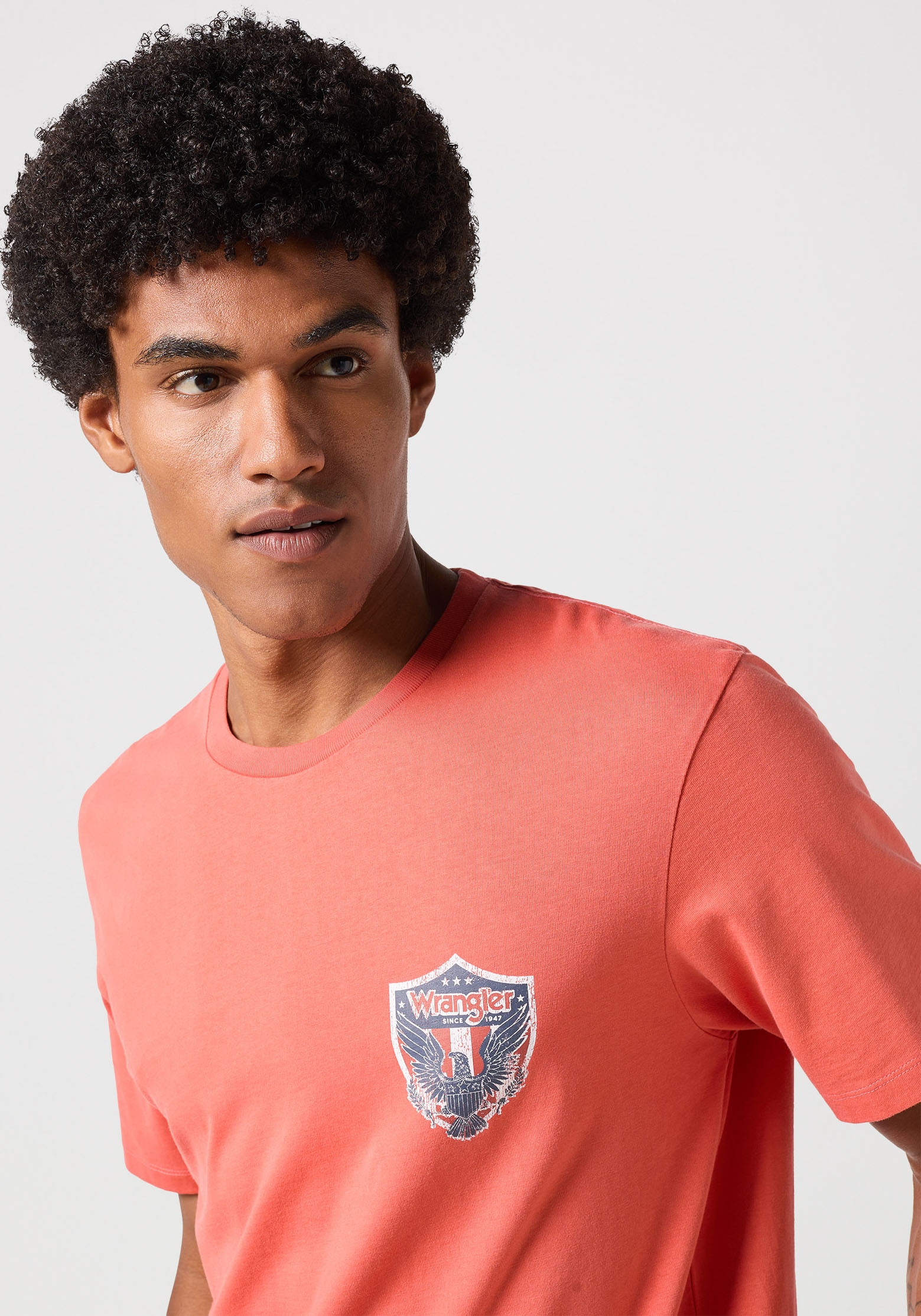 Wrangler T-Shirt »AMERICANA«, mit Markenlabel auf der Brust