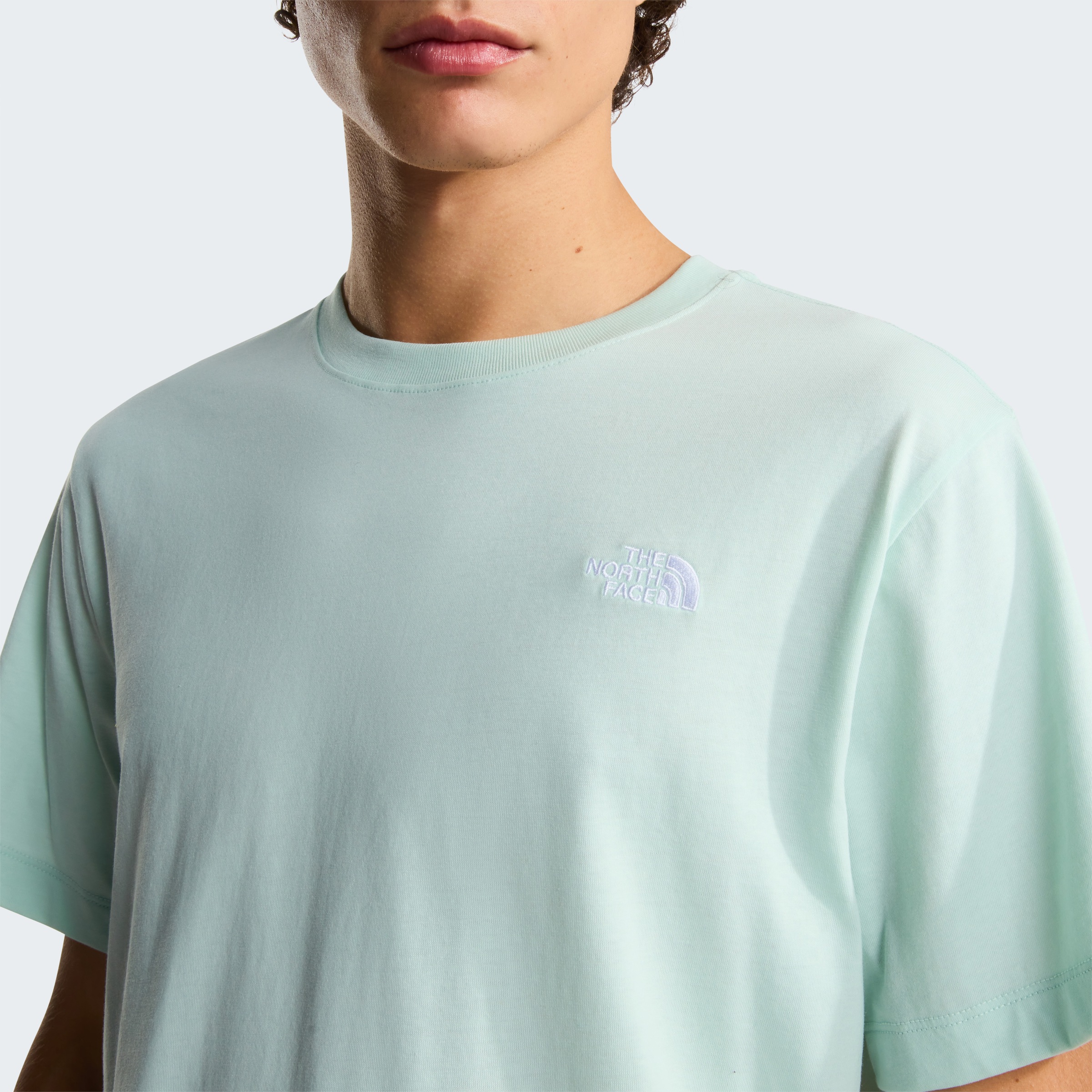 The North Face T-Shirt »M EVOLUTION SIMPLE DOME REGULAR SHORT SL« normale Passform, Kurzarm, für den Alltag, aus Baumwolle