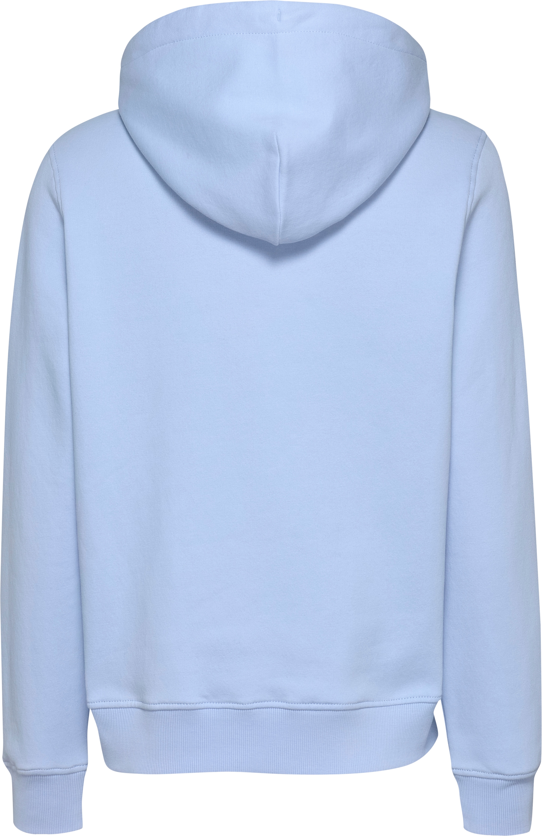 Tommy Jeans Kapuzensweatshirt »TJW REG LINEAR HOODIE«, mit Logoschriftzug