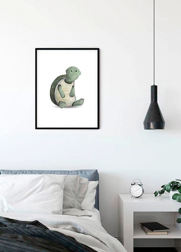 Komar Bild »Cute Animal Turtle«, Schildkröten, (1 St.), Wandbild zur Dekoration - ohne Rahmen