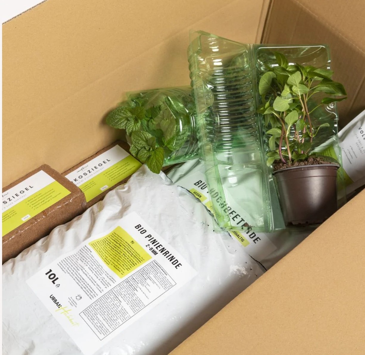 Urban Hochbeet Hochbeet »Set Pflanzenkiste & 5x Echtpflanzen & Erde & Dünger«