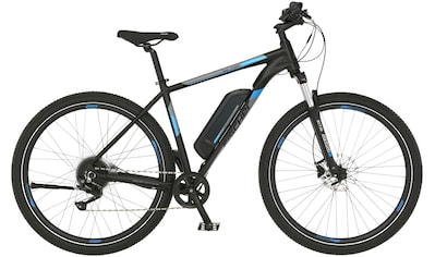 E-Bike »MONTIS EM 1724 422«, 10 Gang