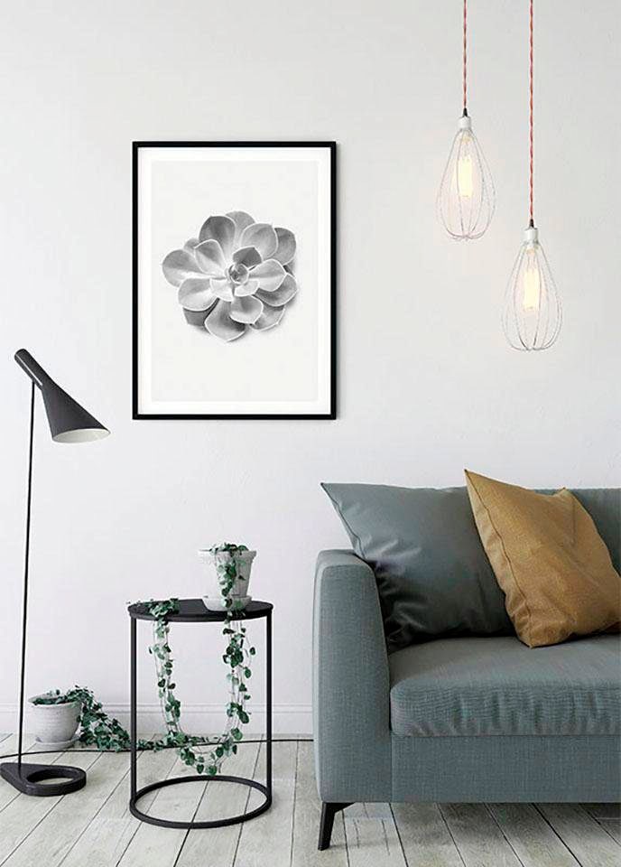 Poster Aeonium«, 3 online Schlafzimmer, mit Komar kaufen Wohnzimmer »Succulent XXL Garantie St.), (1 Jahren Kinderzimmer, | Pflanzen-Blätter,