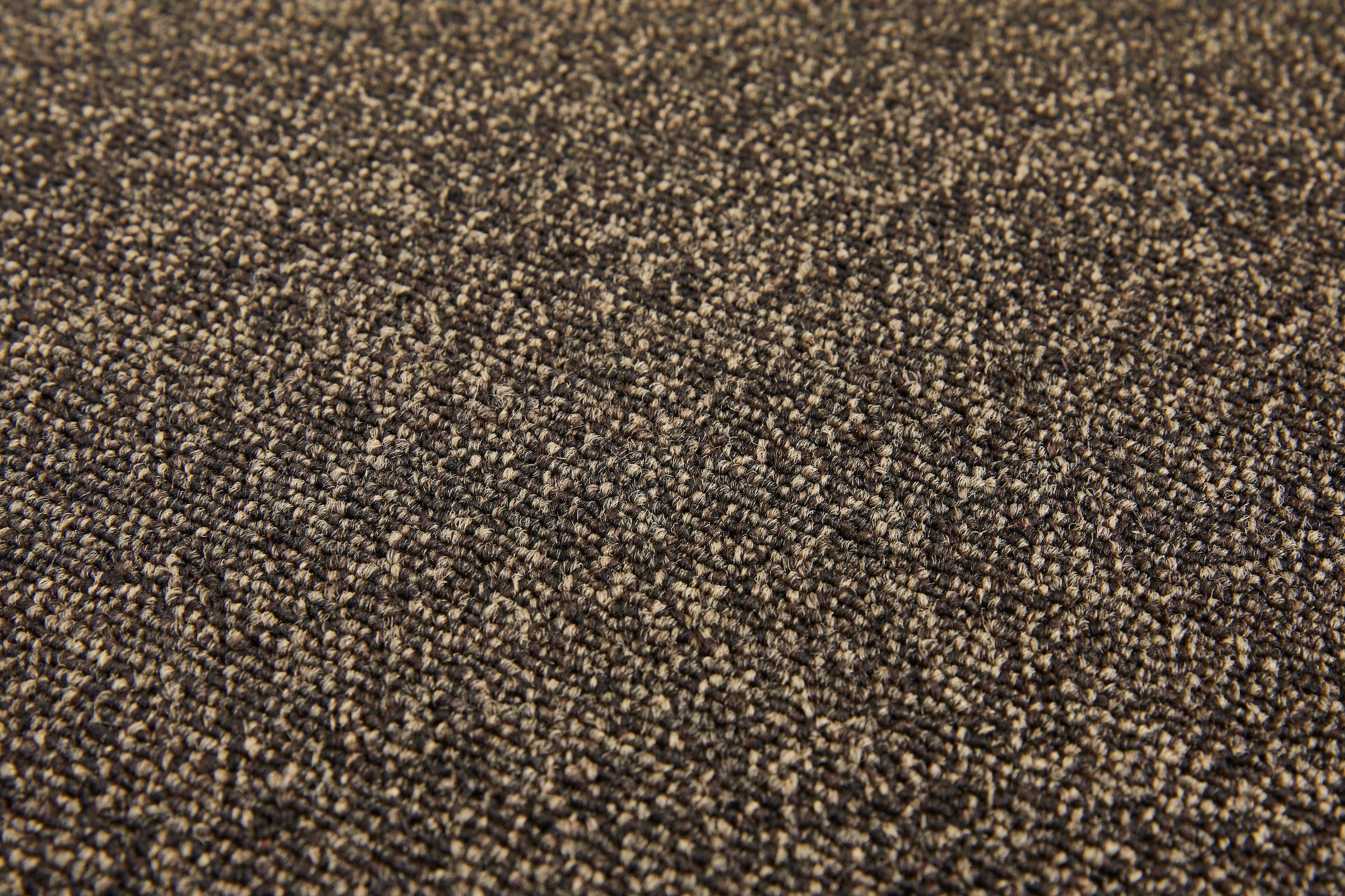 my home Teppichboden »Malte, melierte Schlinge, Made in Belgium«, rechteckig, 6 mm Höhe, Breite 400 & 500 cm, langlebig, pflegeleicht, trittschalldämmend