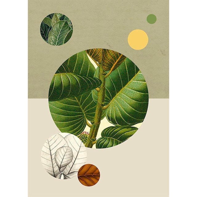 Pflanzen-Blätter, Garantie online kaufen Jahren Komar 3 Wohnzimmer | Poster XXL mit Kinderzimmer, »Green Structure«, Schlafzimmer,