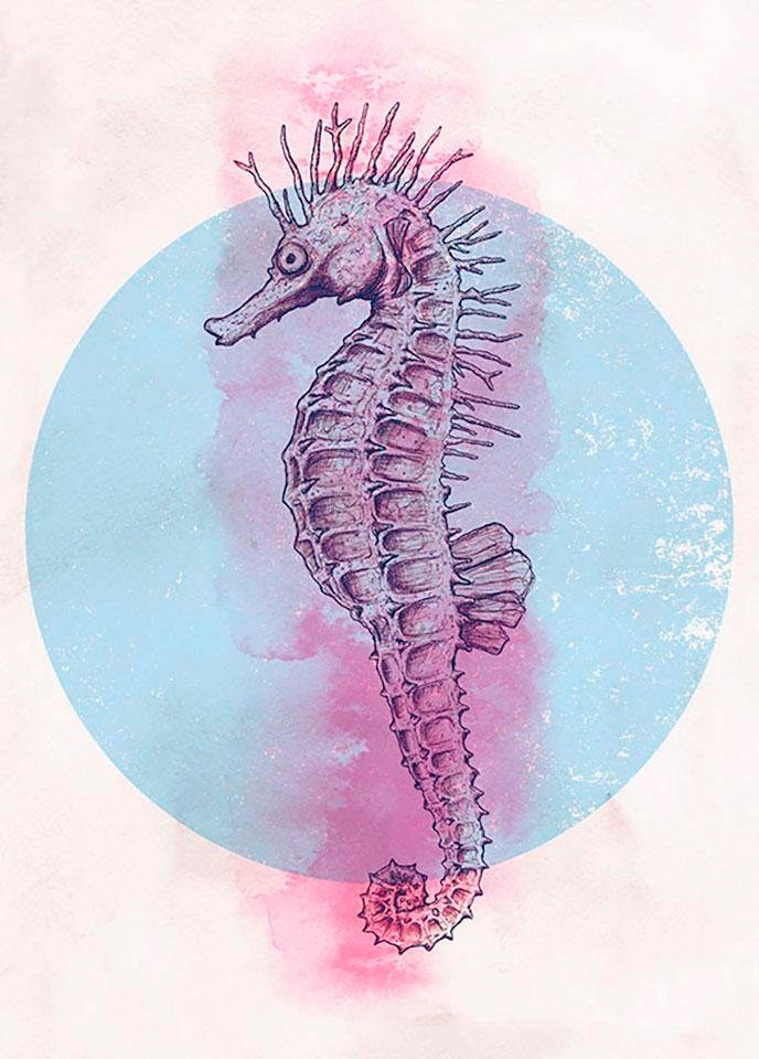 Komar Bild »Sea Horse Circle« Tiere 1 Stk. tlg. Wandbild zur Dekoration - ohne Rahmen