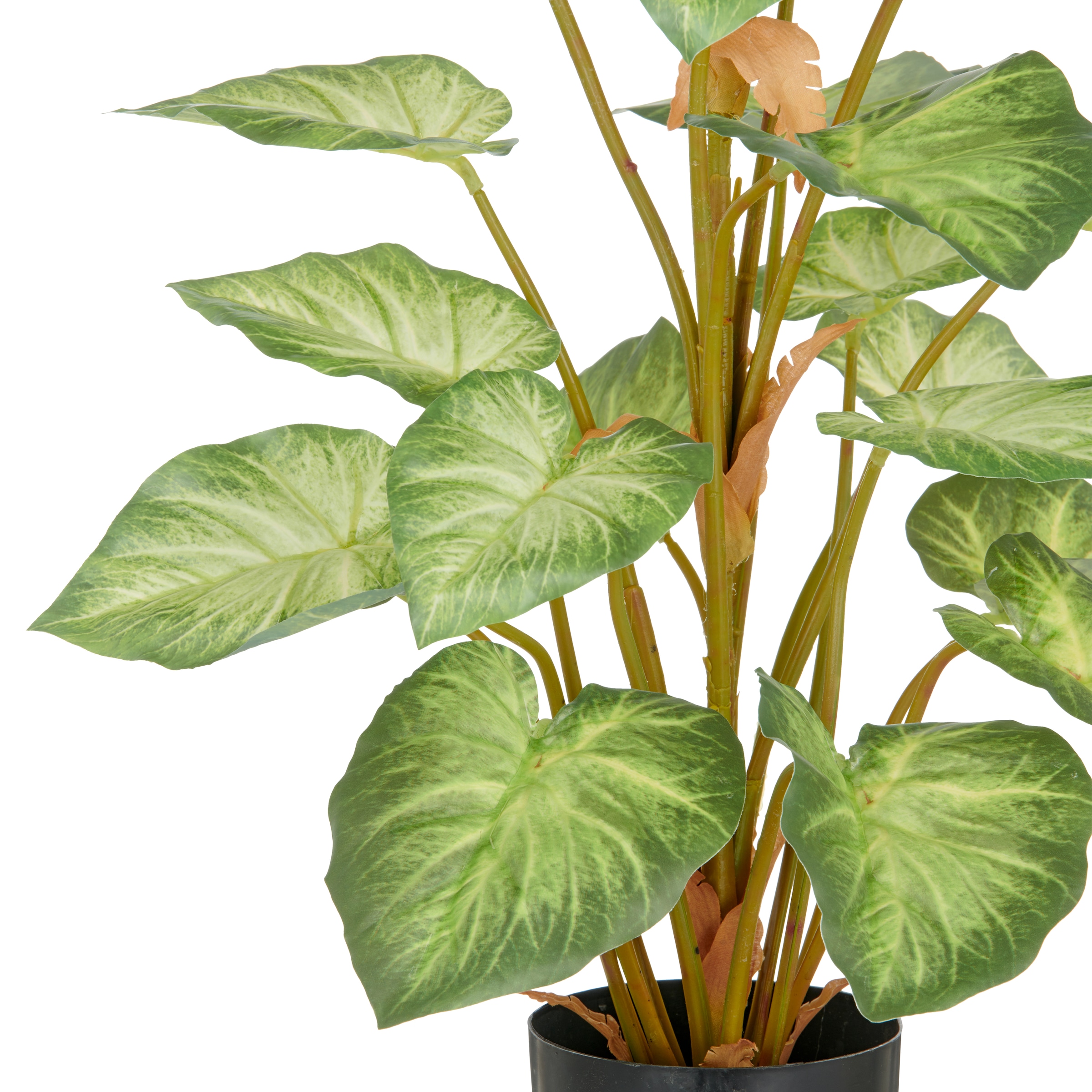 Creativ green Kunstpflanze »Syngonium« mit schönem Blattwerk