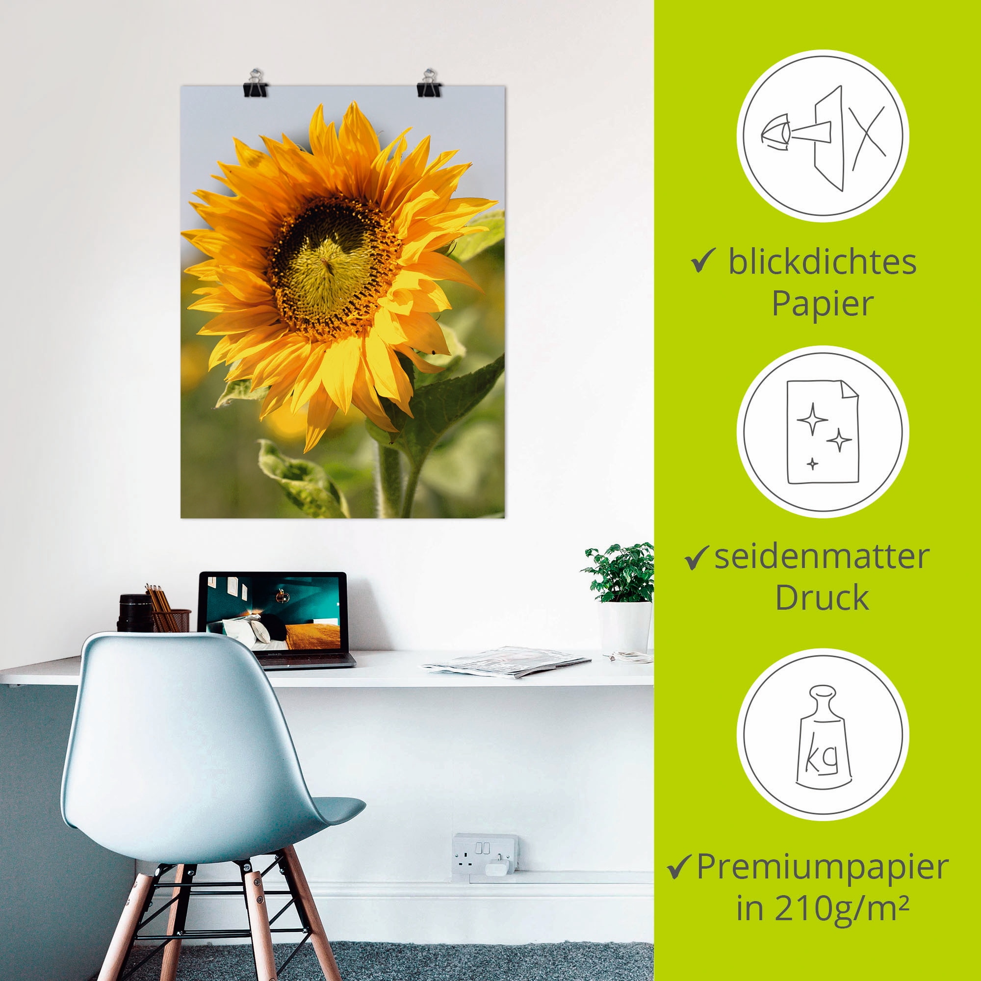 Artland Wandbild »Sonnenblume« Blumen 1 Stk. tlg. als Leinwandbild, Poster in verschied. Größen