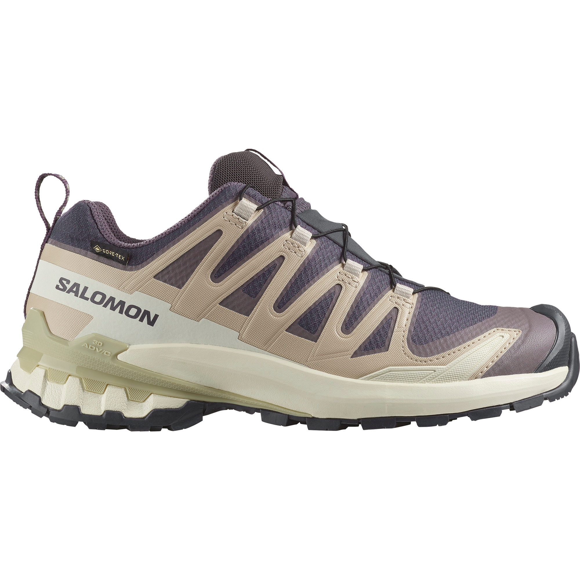 Salomon Trailrunningschuh »XA PRO 3D V9 GORE-TEX W«, wasserdicht