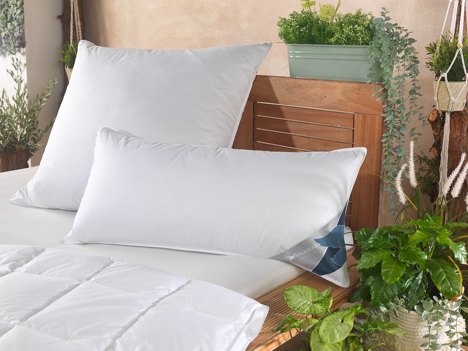 Haeussling Federkissen »GRÖNLAND Made in Green« Füllung: neueweisseFedern85undDaunen15 1 Stk. tlg. hochwertiges Daunenprodukt "Made in Green" zertifiziert