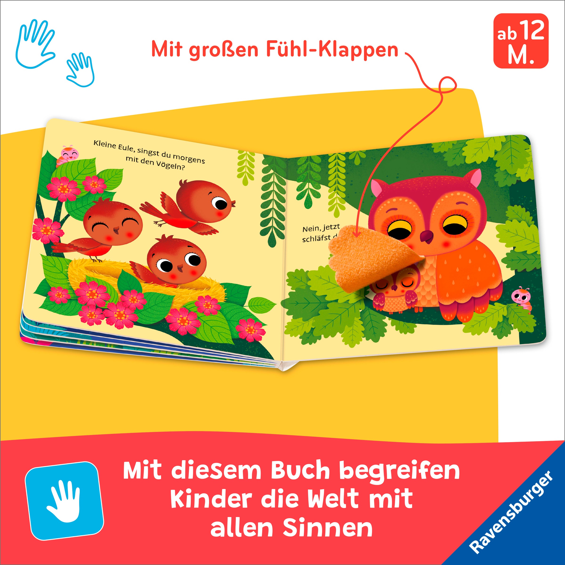 Ravensburger Buch »Pappbilderbuch, Wo bist du, kleine Eule?«