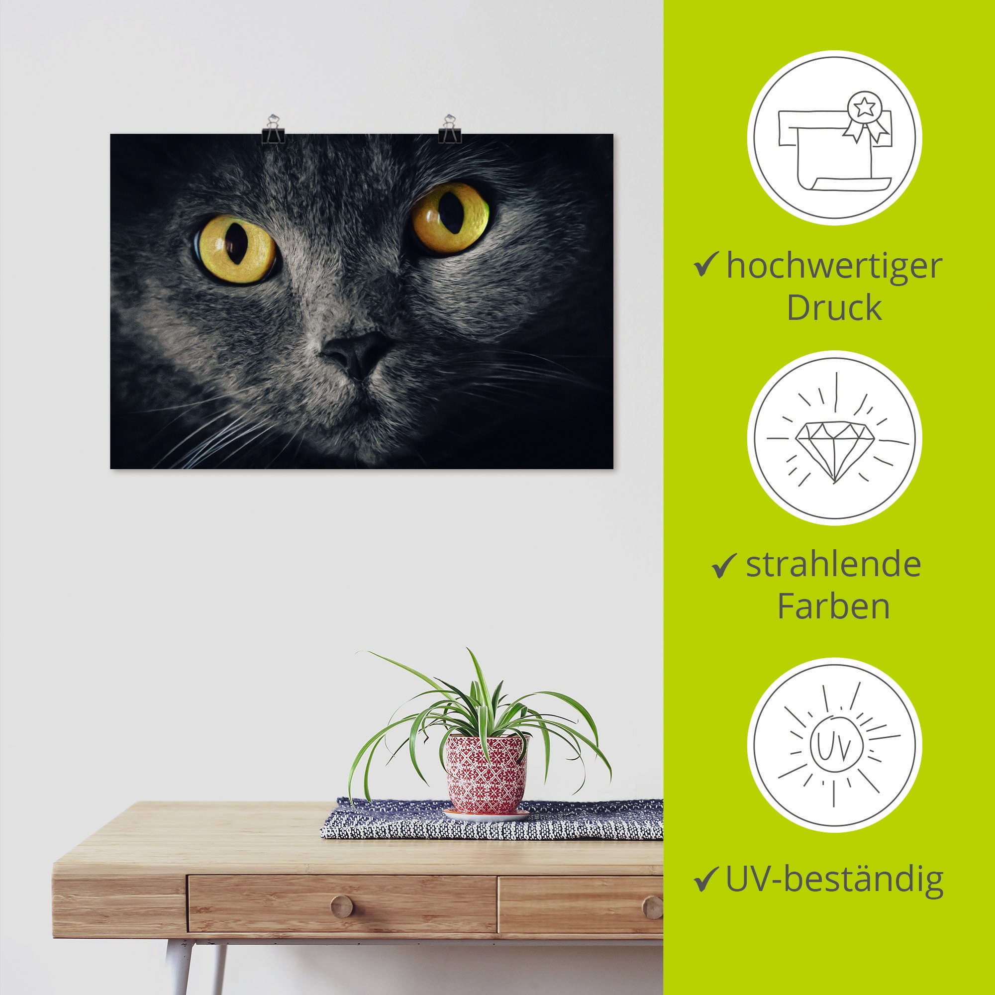 Artland Poster »Katzenaugen« Haustiere 1 Stk. tlg. ohne Rahmen