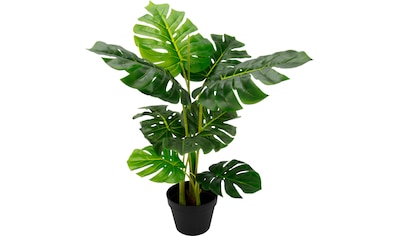 Kunstpflanze | mit im online XXL kaufen Kunststofftopf Garantie I.GE.A. Jahren 3 »Splitphilopflanze«,