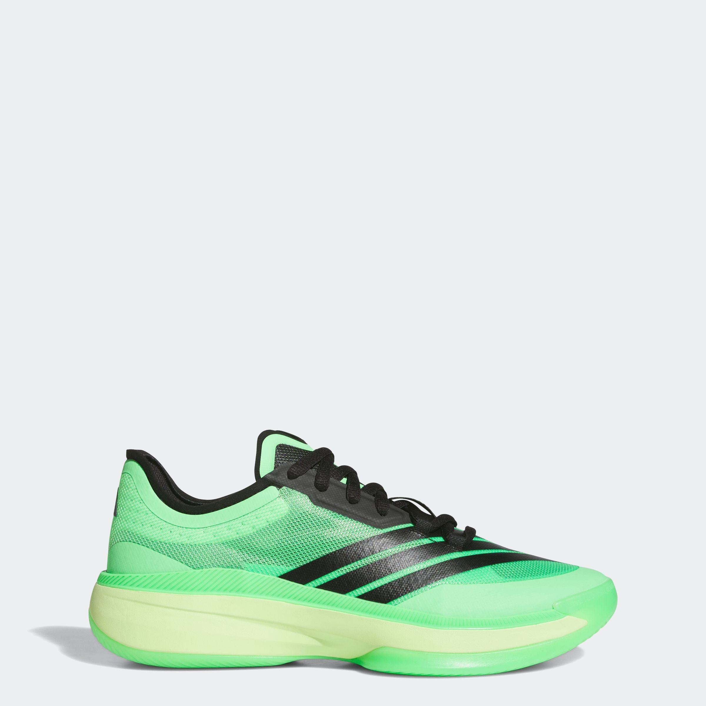 adidas Performance Basketballschuh »ADIZERO SELECT 3.0«