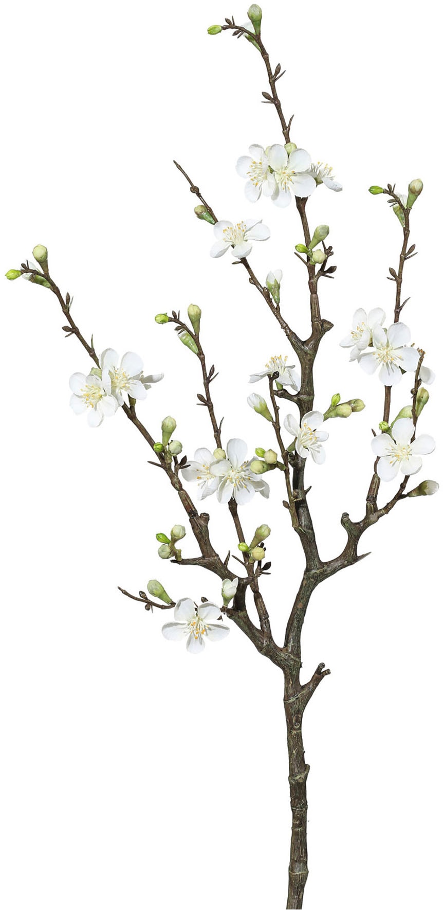 Creativ green Kunstzweig »Quittenzweig« mit zarten Blüten