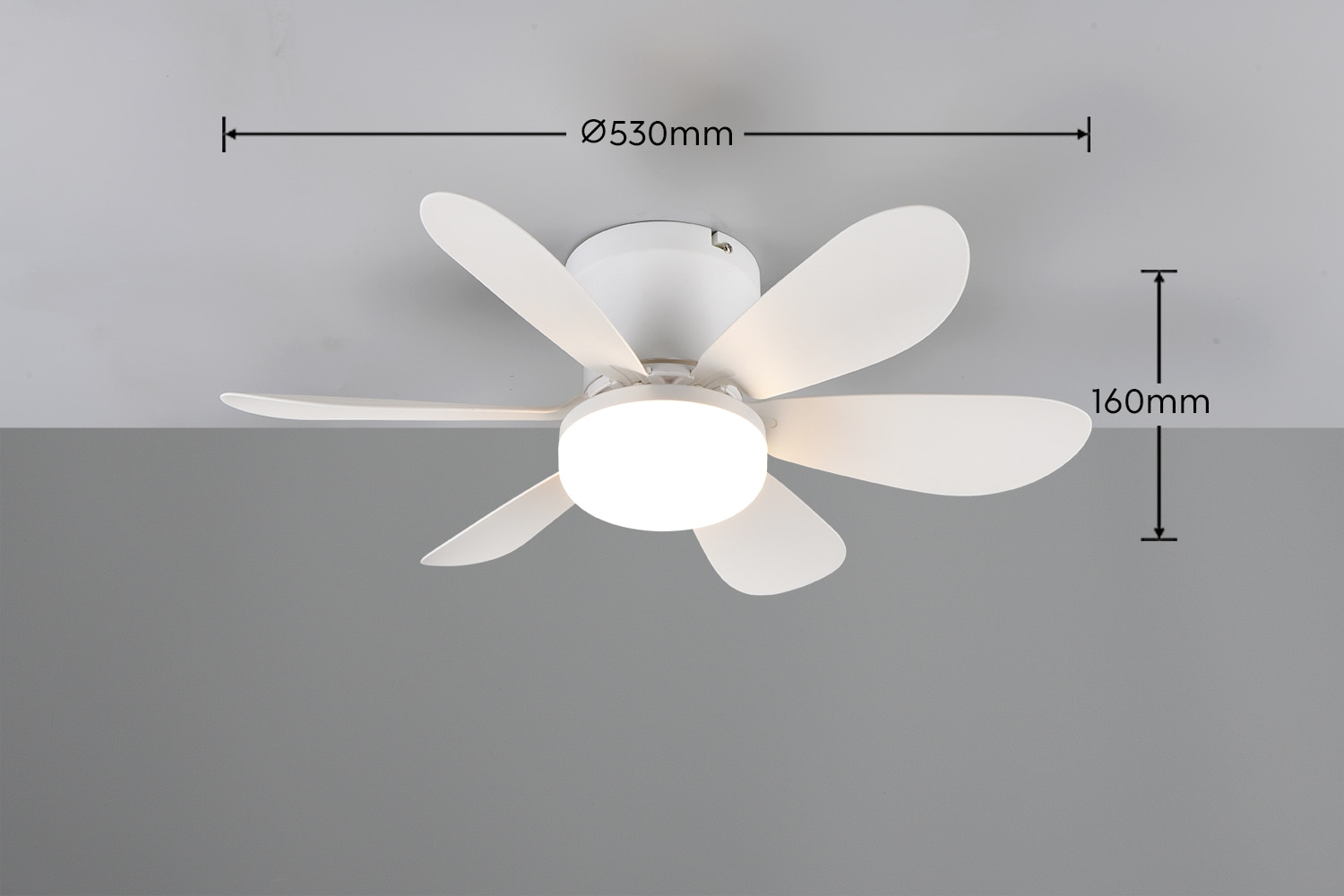 REALITY Leuchten LED Deckenleuchte »LUND mit Ventilator, Deckenventilator mit Licht inkl Fernbedienung« LED-Board 1 Stk. warmweiß - kaltweiß 3 Geschwindigkeiten Timer Vor- & Rücklauf LED dimmbar CCT Nachtlicht