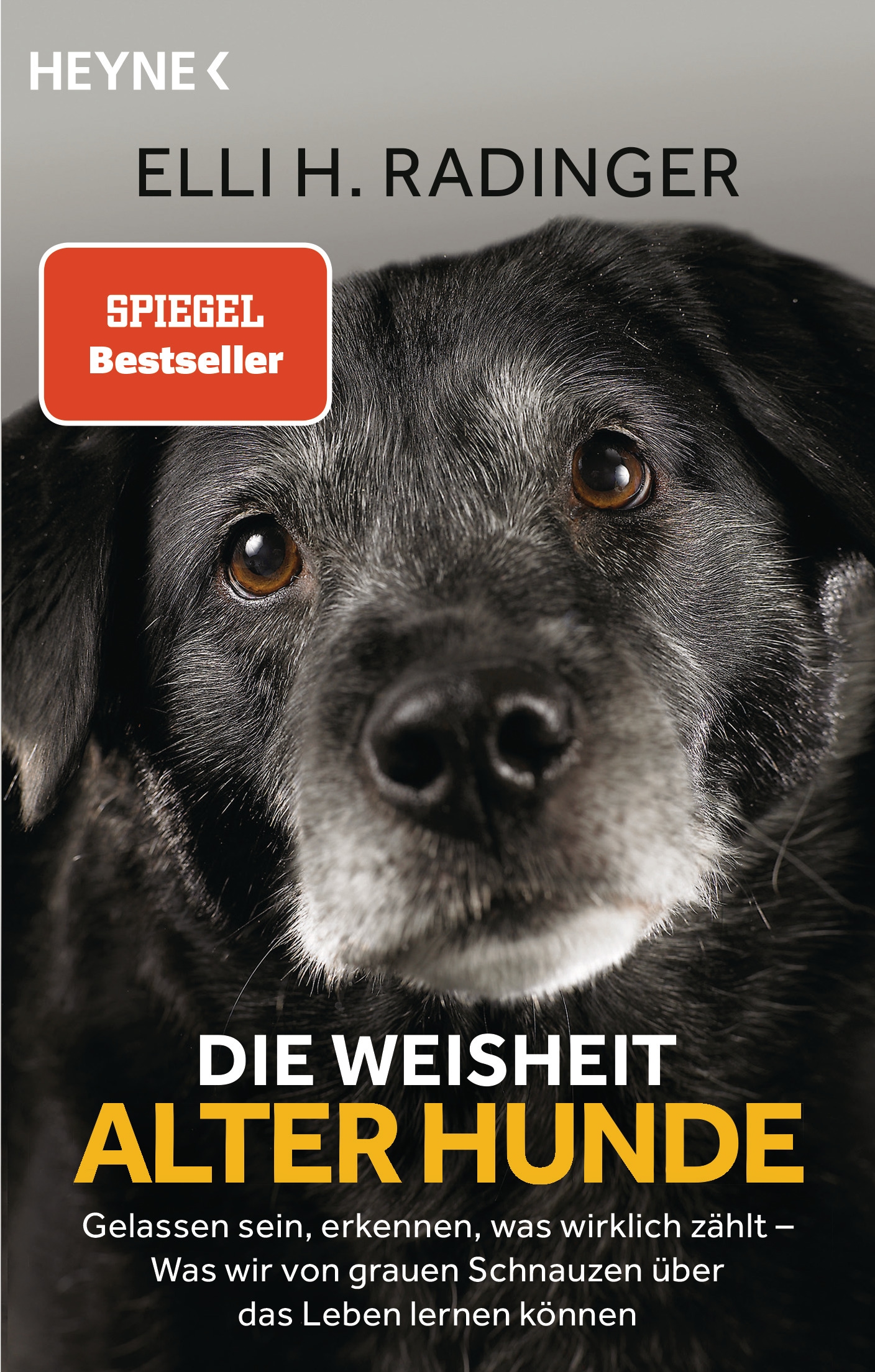 Buch »Die Weisheit alter Hunde / Elli H. Radinger« bestellen UNIVERSAL