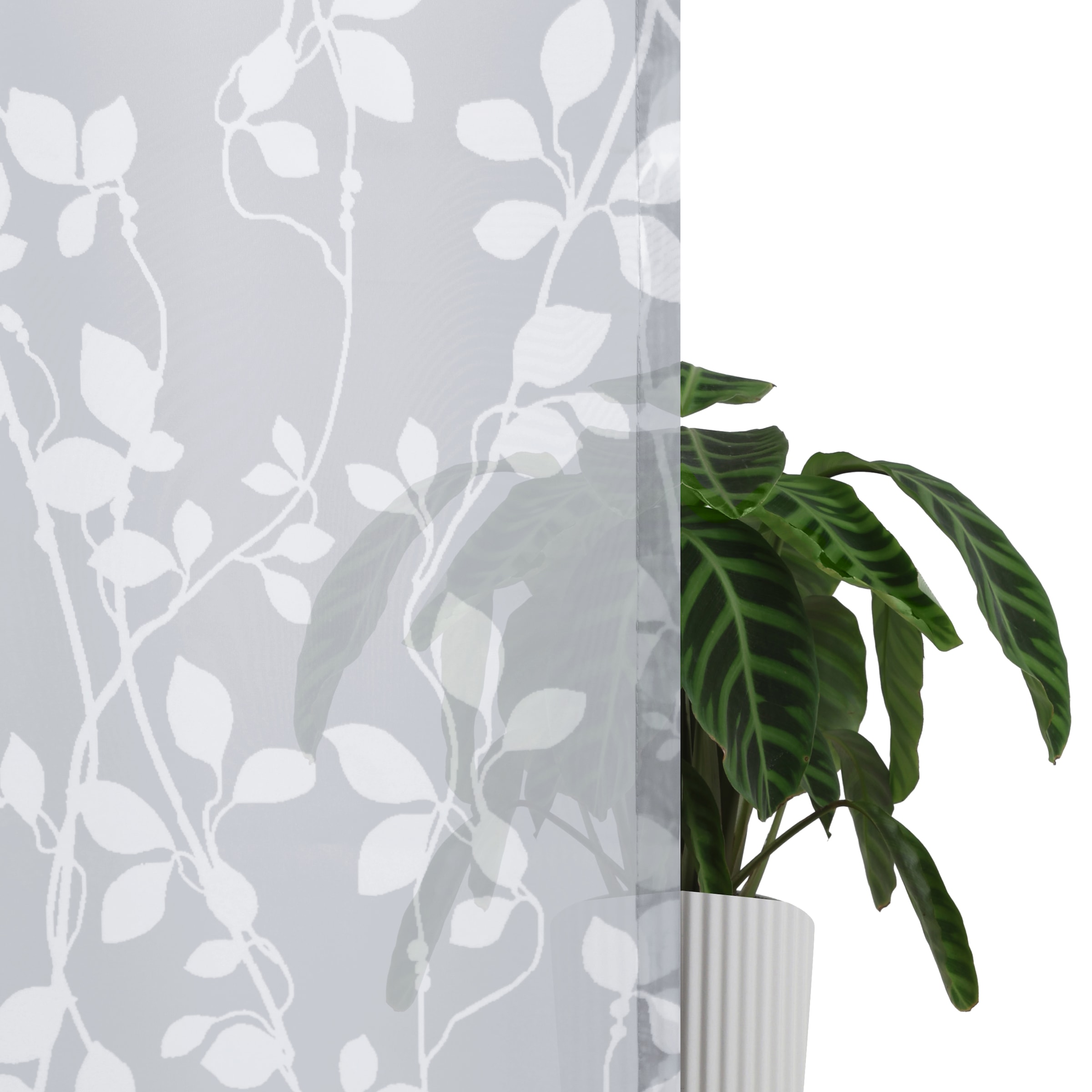 my home Gardine »Issoire« Stangendurchzug 1 Stk. tlg. Wohnzimmer, Schlafzimmer, Esszimmer, gemustert, modern