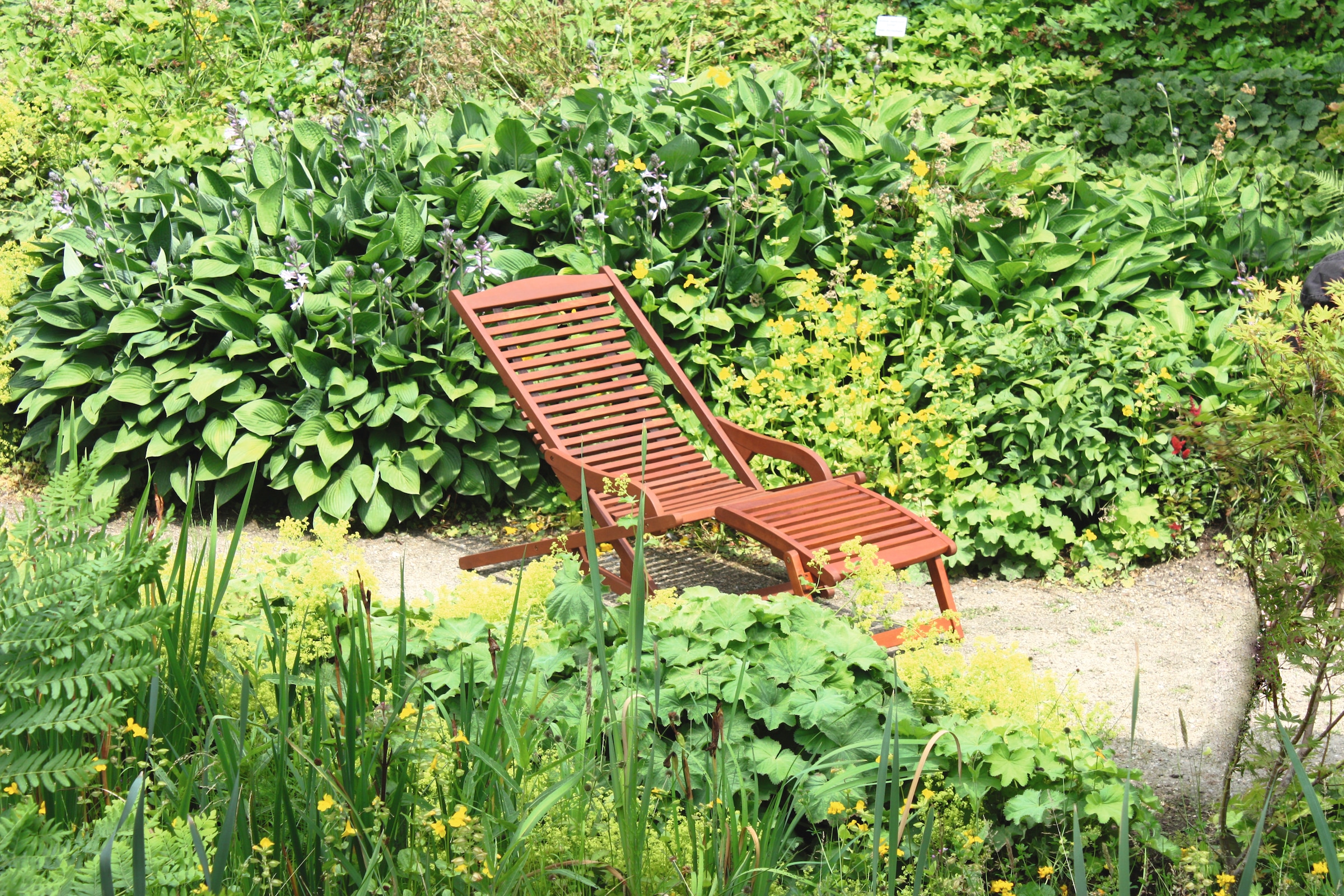 Garden Pleasure Gartenliege »Alaska«, Eukalyptus, inkl. Kopfkissen