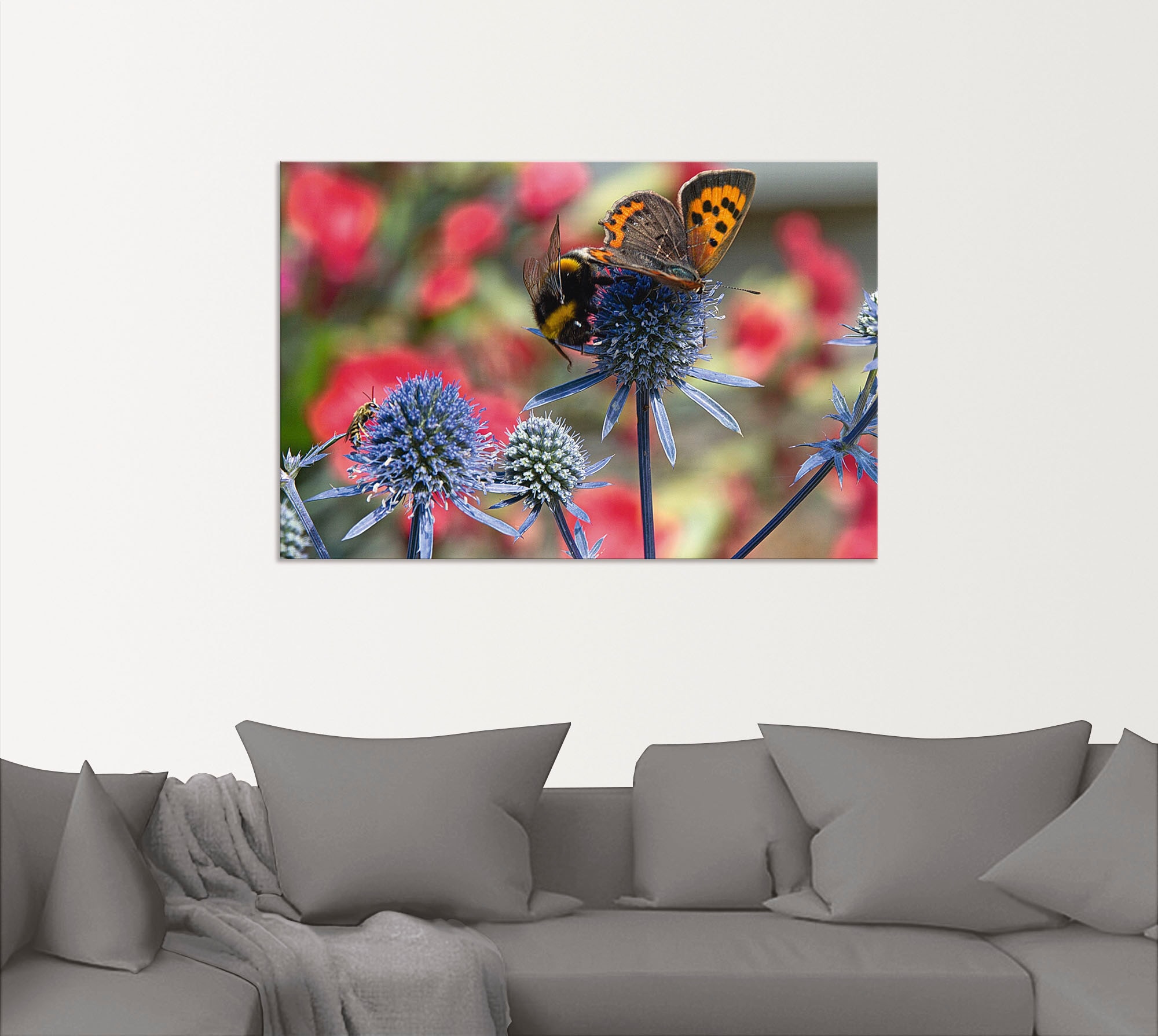 Artland Wandbild »Kleiner Feuerfalter und Hummel«, Insekten, (1 St.), als Alubild, Outdoorbild, Leinwandbild, Wandaufkleber, versch. Größen