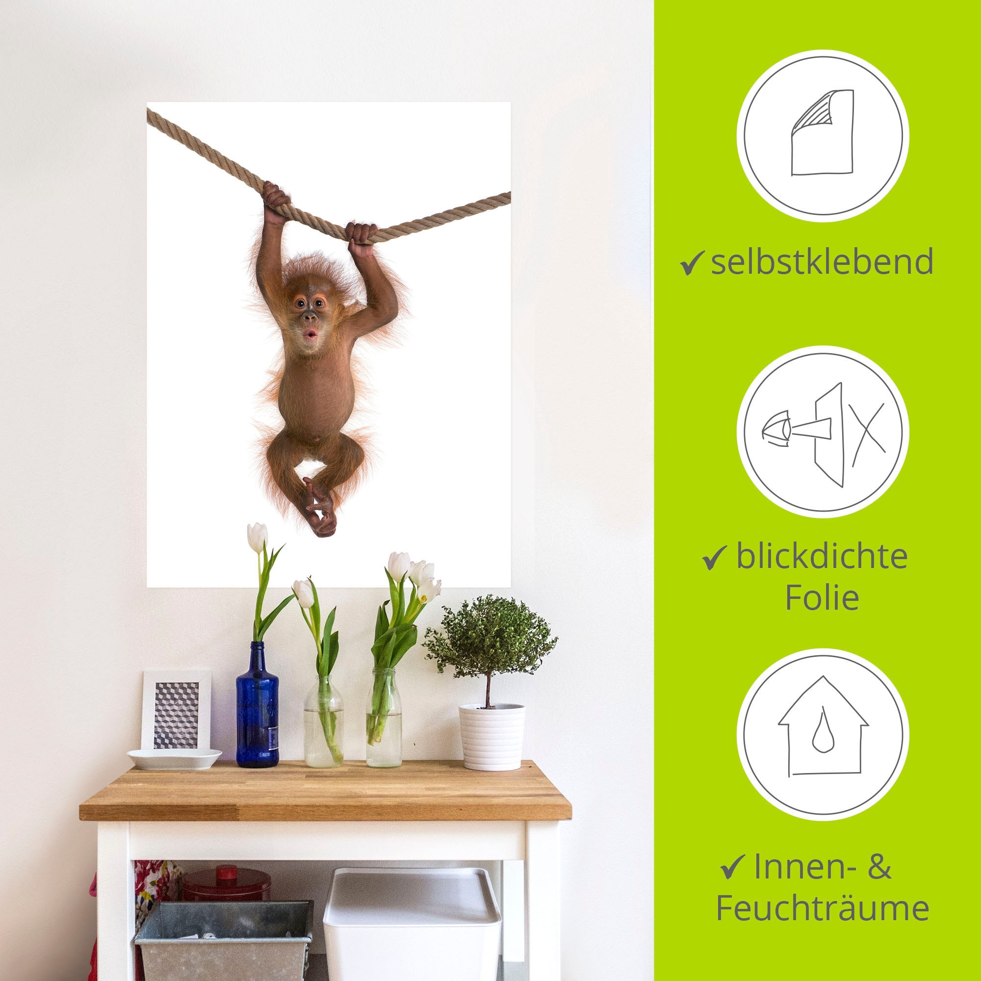 Artland Wandbild »Baby Orang Utan hängt an Seil II«, Wildtiere, (1 St.), als Alubild, Outdoorbild, Leinwandbild, Poster, Wandaufkleber