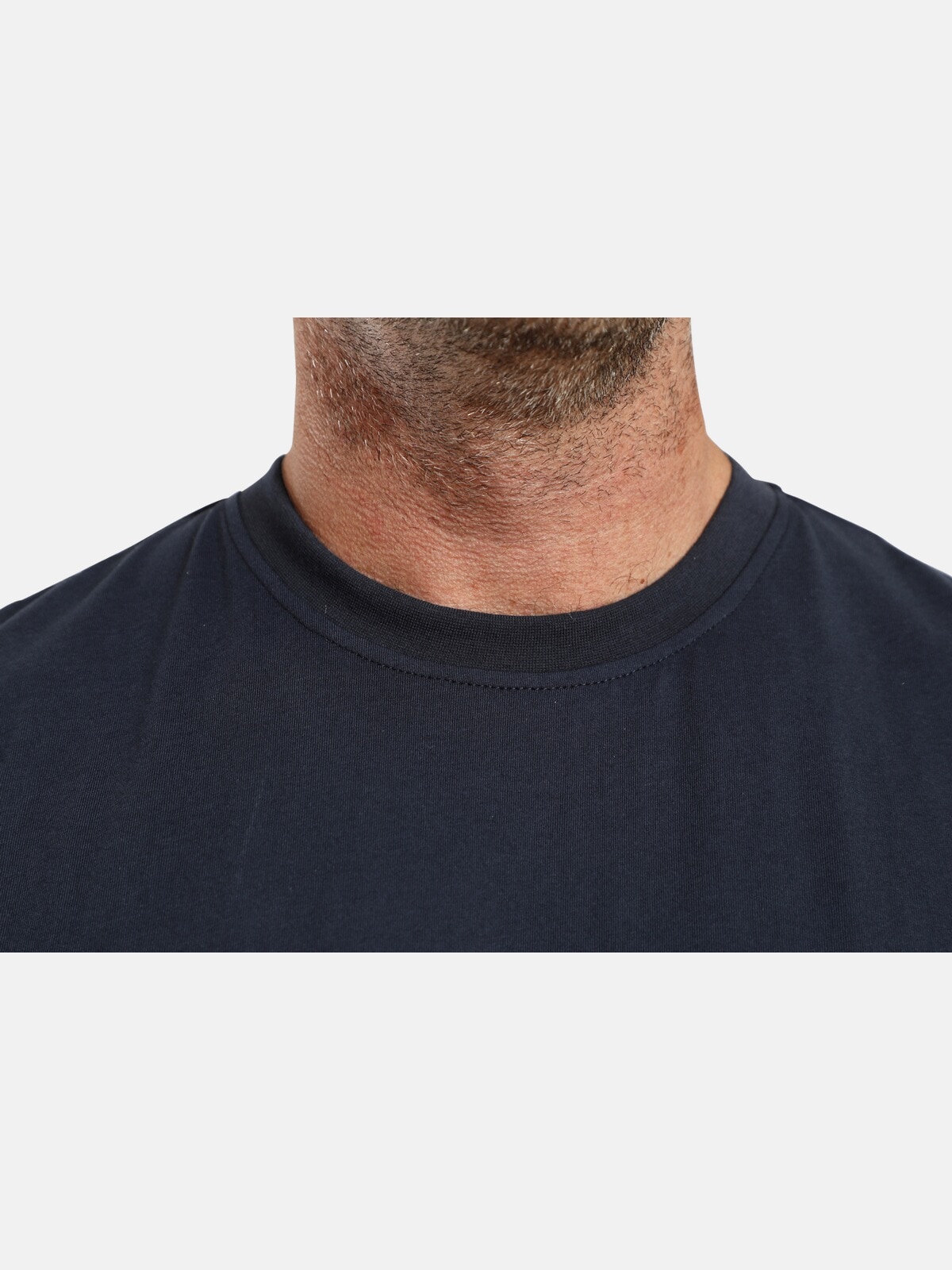 Charles Colby Rundhalsshirt »Doppelpack T-Shirt EARL BOON«, (2 tlg.), leger und schlicht (2er-Pack)