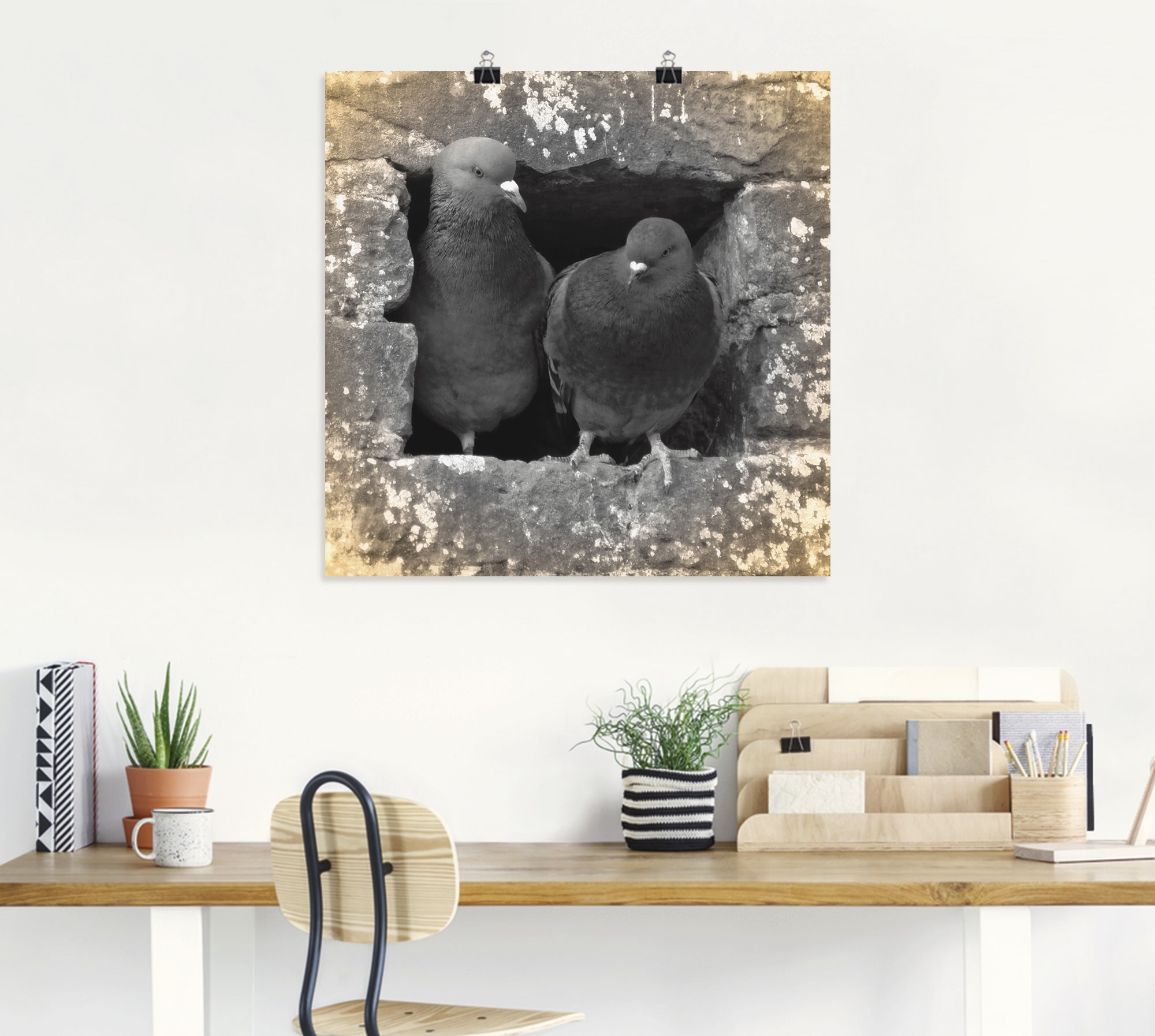 Artland Wandbild »Tauben Liebe« Vögel 1 Stk. tlg. als Alubild, Poster in verschied. Größen