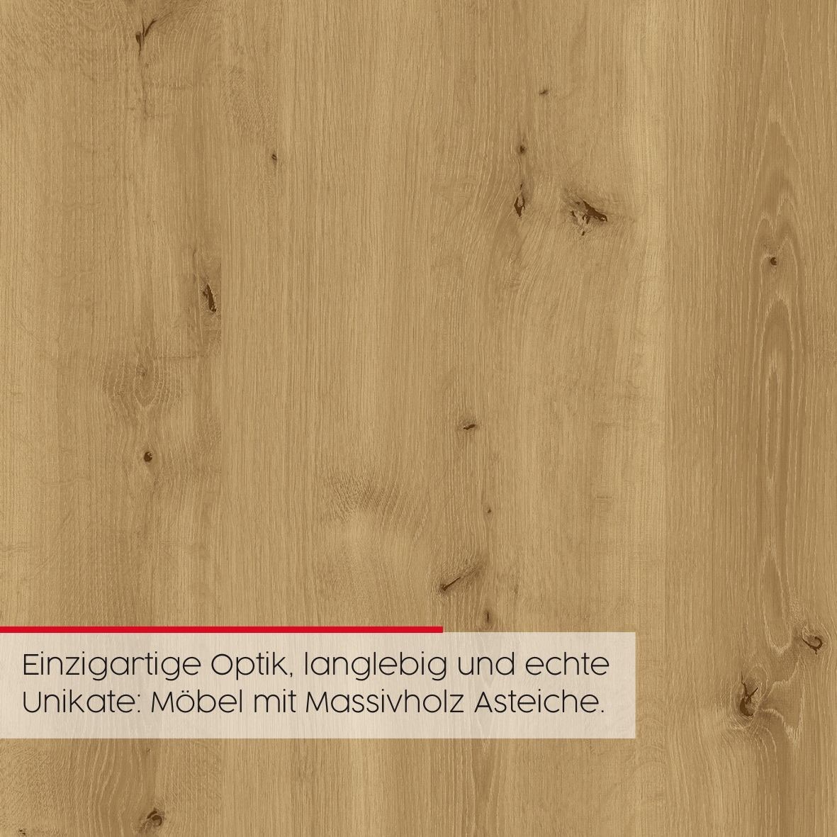 rauch Kleiderschrank »Drehtürenschrank Schrank Garderobe Wäscheschrank KONA« Breiten 251/301 cm, Höhe 223 cm, Tiefe 61 cm,  Glasauflage, Massivholz-Absetzung, SOFT-CLOSE-FUNKTION MADE IN GERMANY