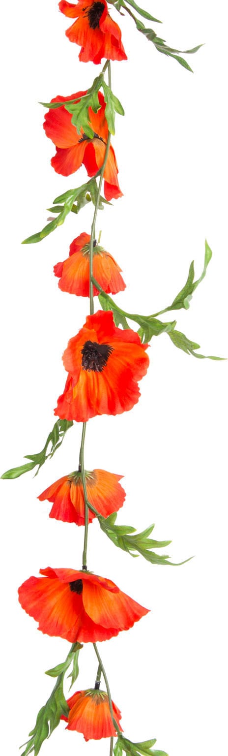 auf Raten »Mohnblumen Kunstblume kaufen Botanic-Haus Girlande«
