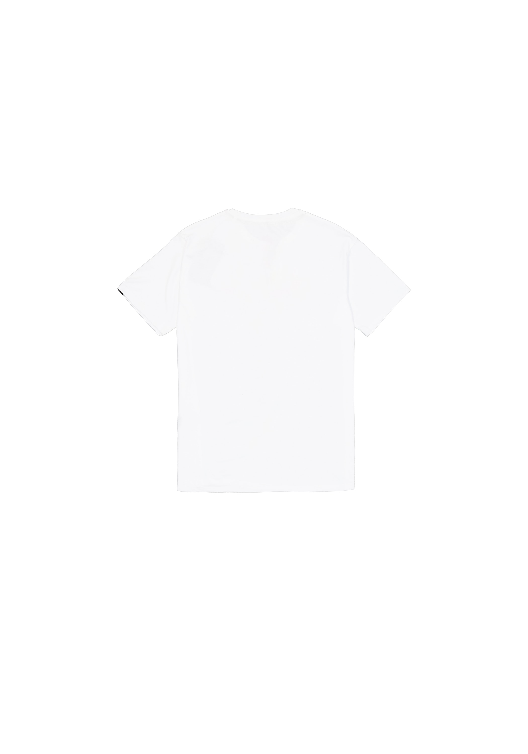 Alpha Industries T-Shirt »Alpha Industries Men - T-Shirts Basic T-Shirt SL TPU«