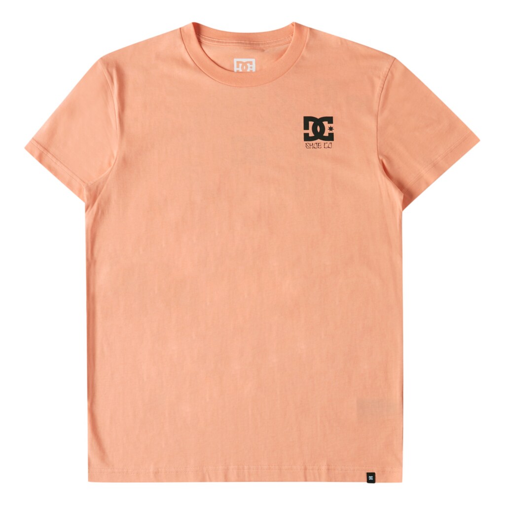 DC Shoes T-Shirt »Mugger«