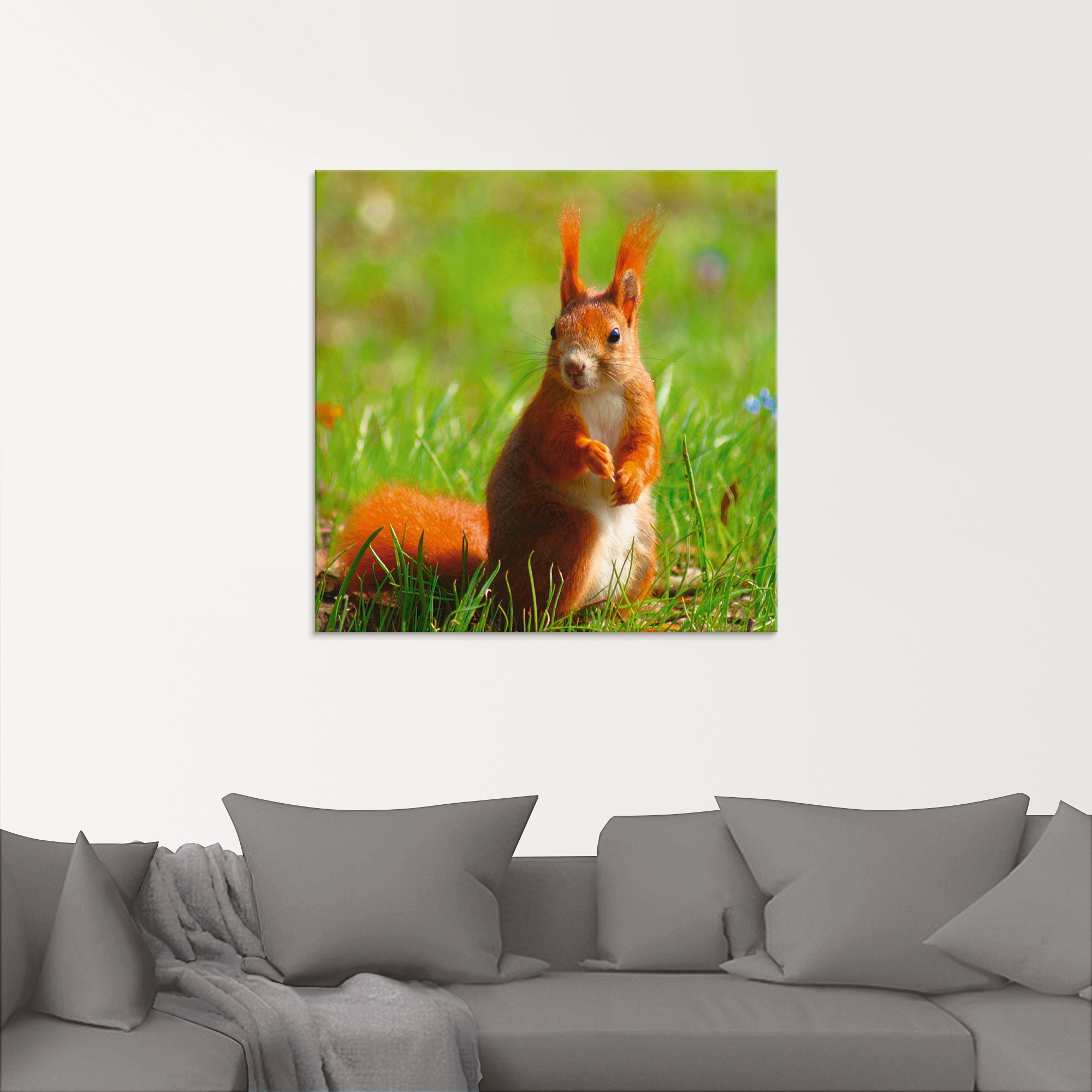 Artland Glasbild »Eichhörnchen Kontakt«, Wildtiere, (1 St.), in verschiedenen Größen