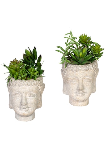 Creativ green Künstliche Zimmerpflanze »Sukkulentenarrangement«, (2 St.), im Gefäß aus... kaufen