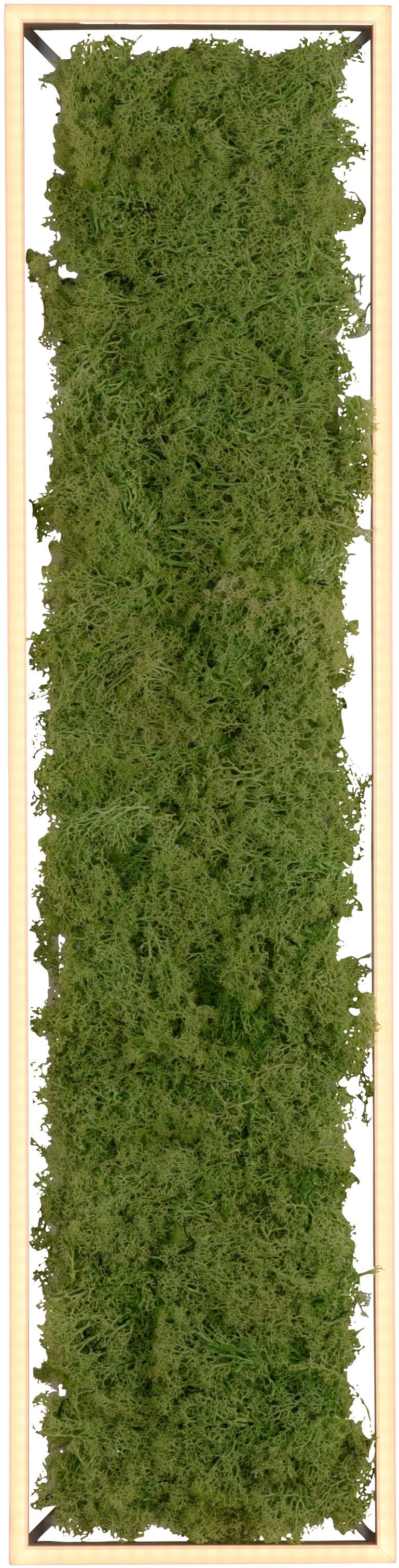 JUST LIGHT Deckenleuchte »GREEN KNUT«, 1 flammig, Leuchtmittel LED-Board | LED fest integriert